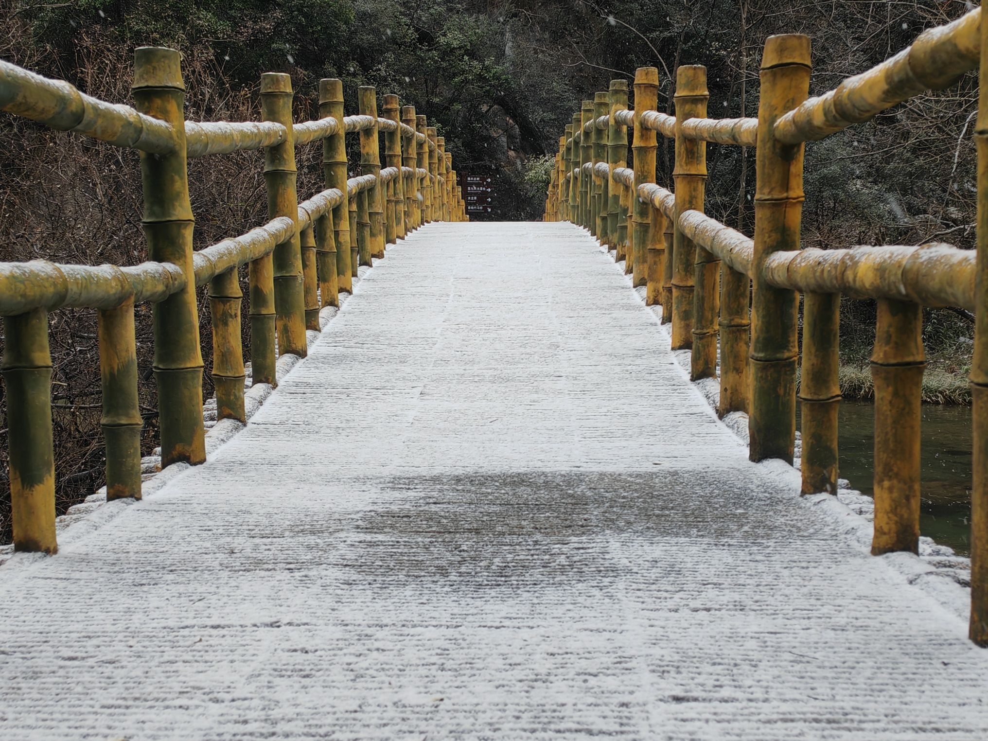 虎啸滩风景区旅行图片 3