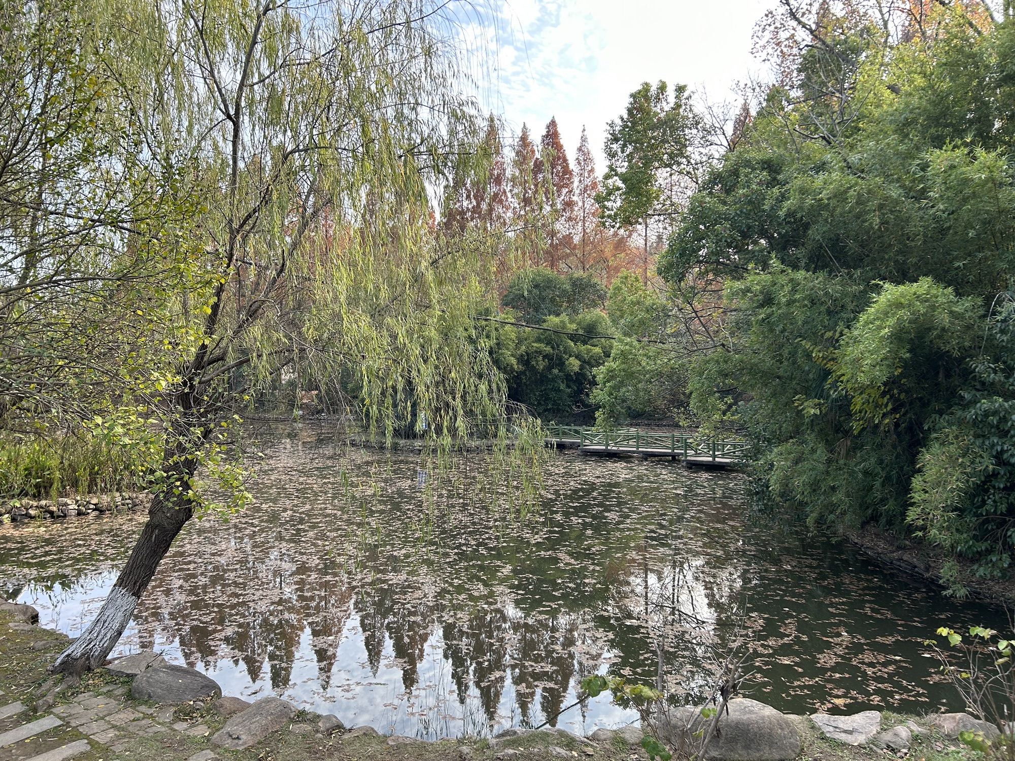 白云公园