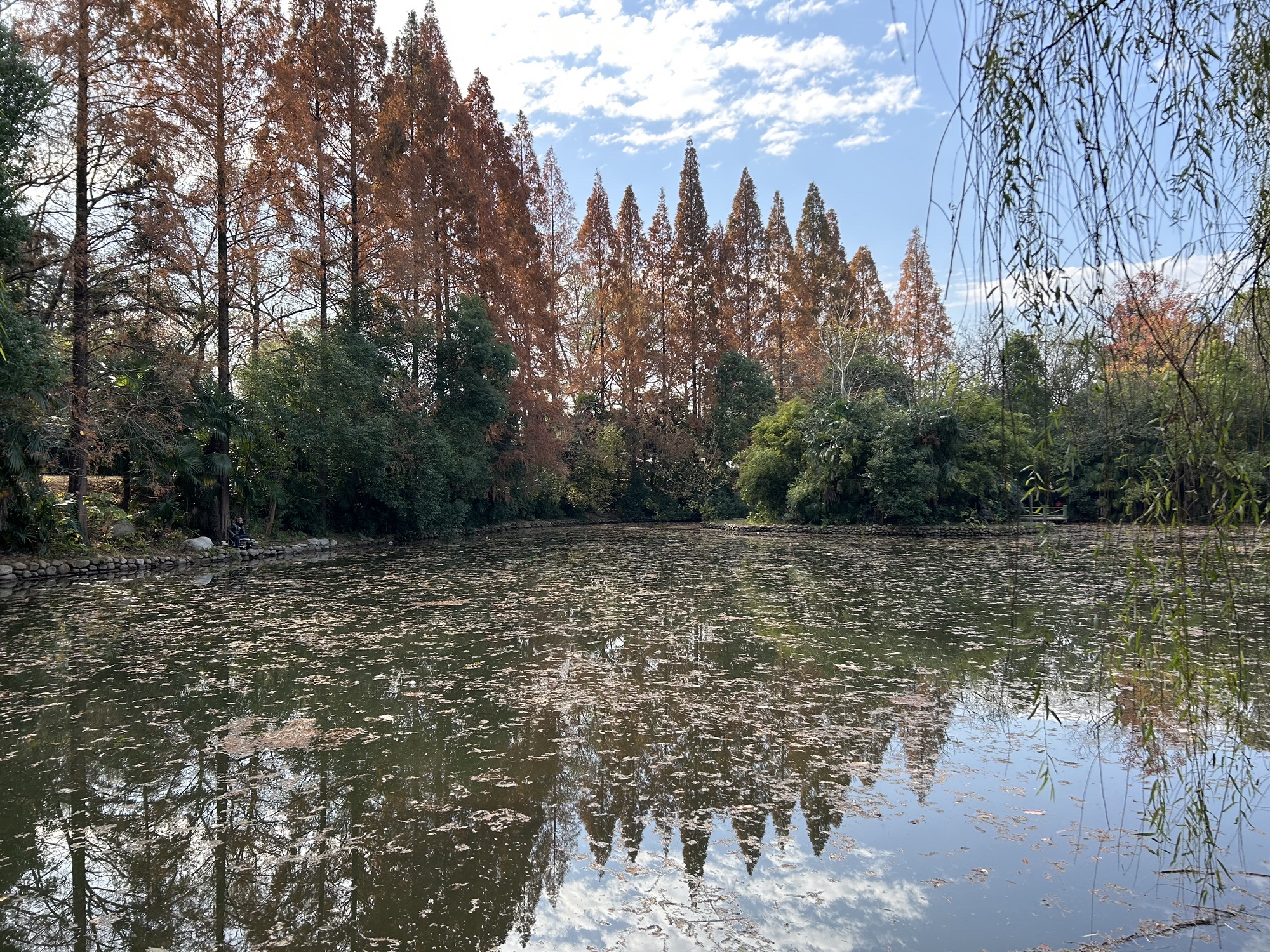 白云公园