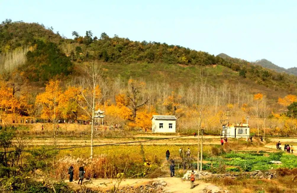 随县