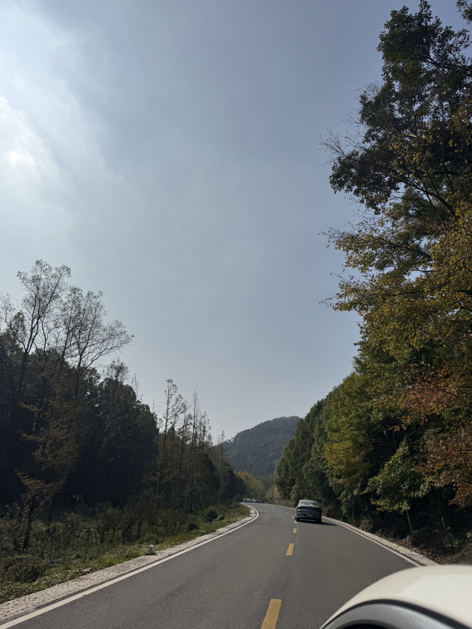大口国家森林公园旅行图片 3