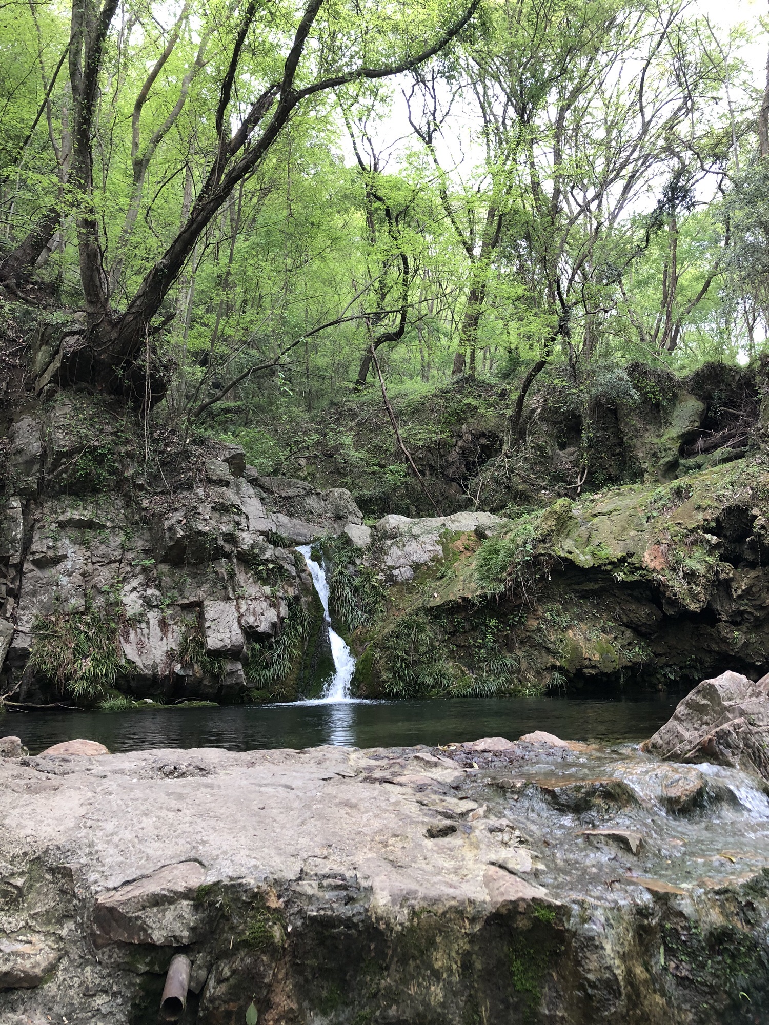 大口国家森林公园旅行图片 2