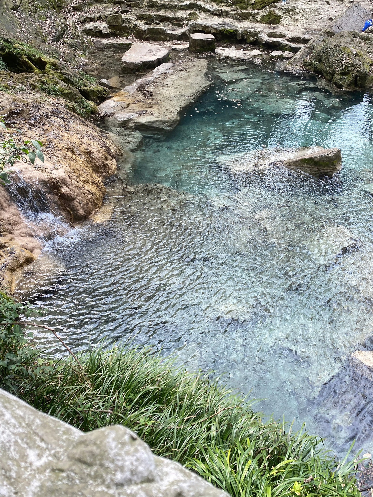大口国家森林公园旅行图片 1