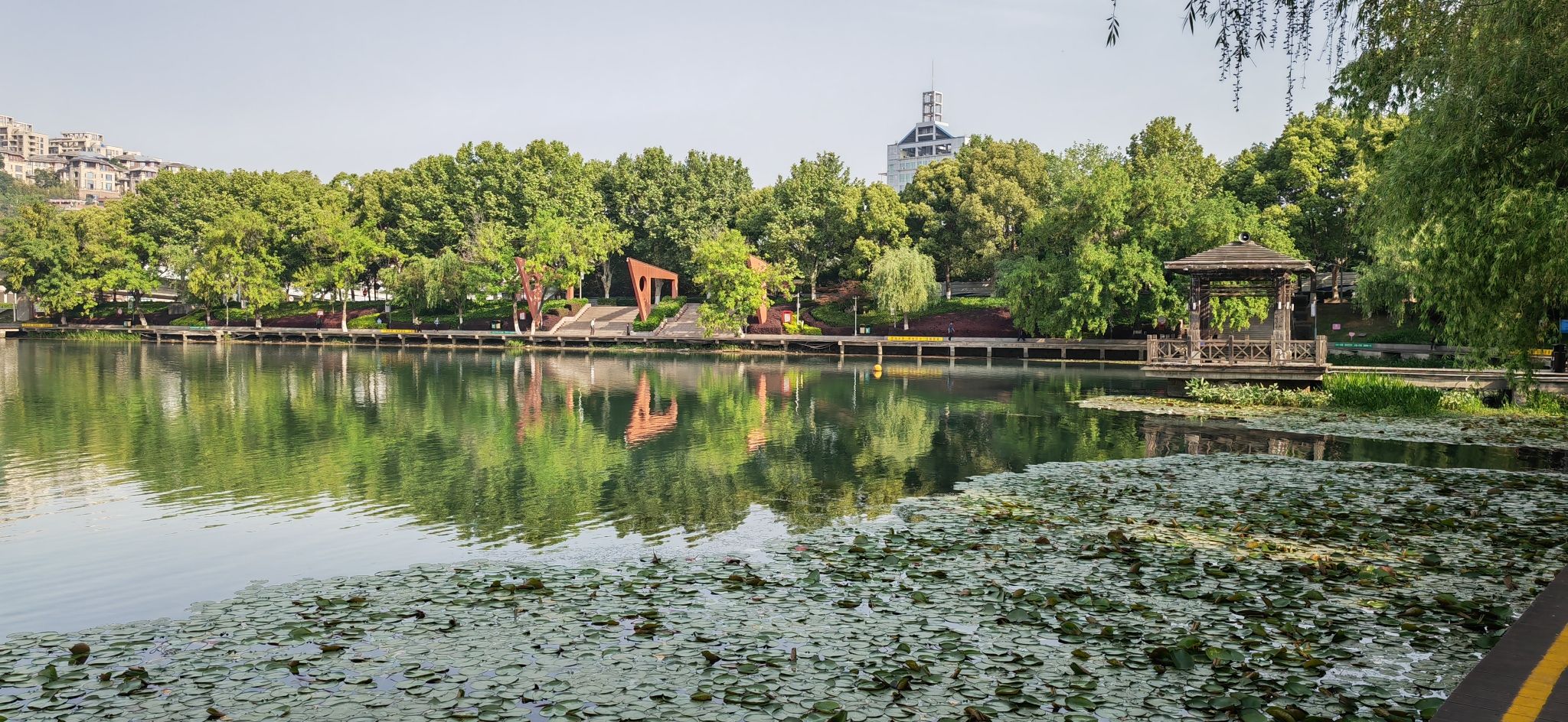 天鹅湖公园