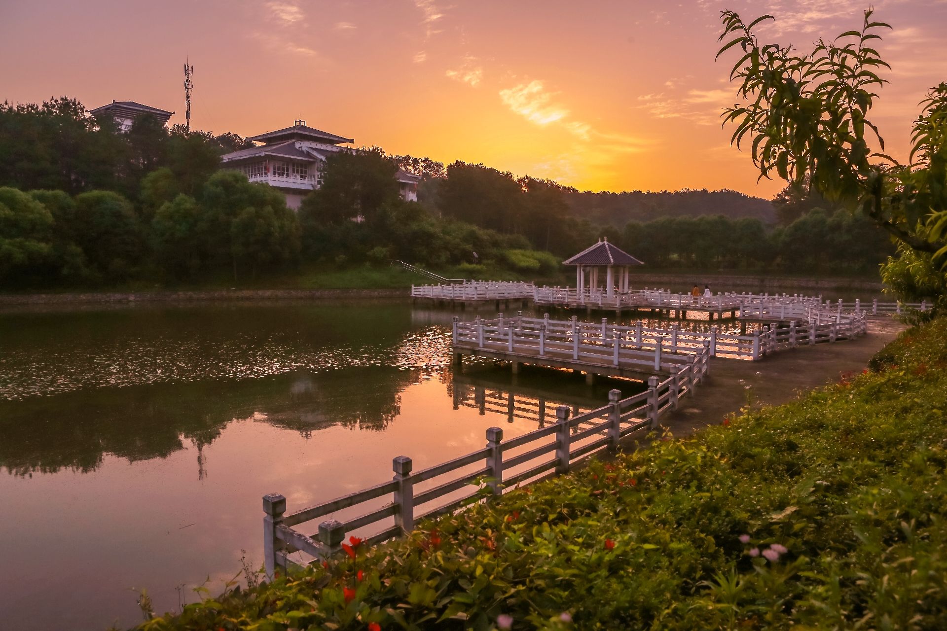 白鹿春