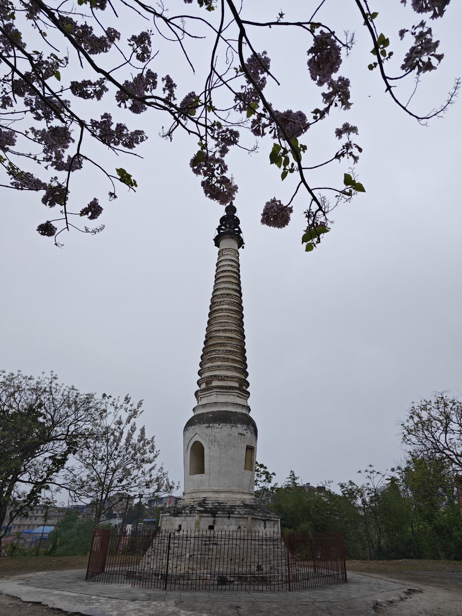 文风塔旅行图片 2