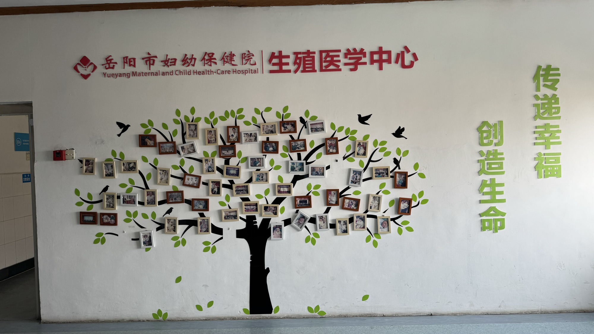 岳阳市妇幼保健院
