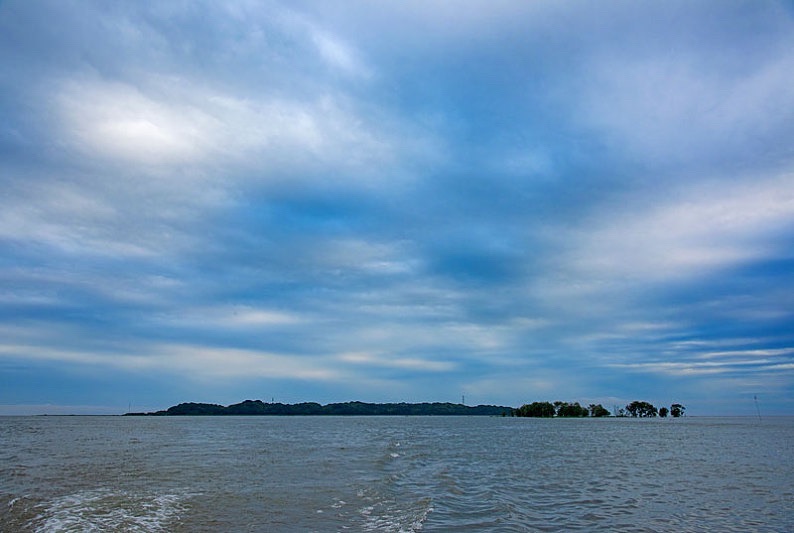 湖南东洞庭湖国家级自然保护区旅行图片 1