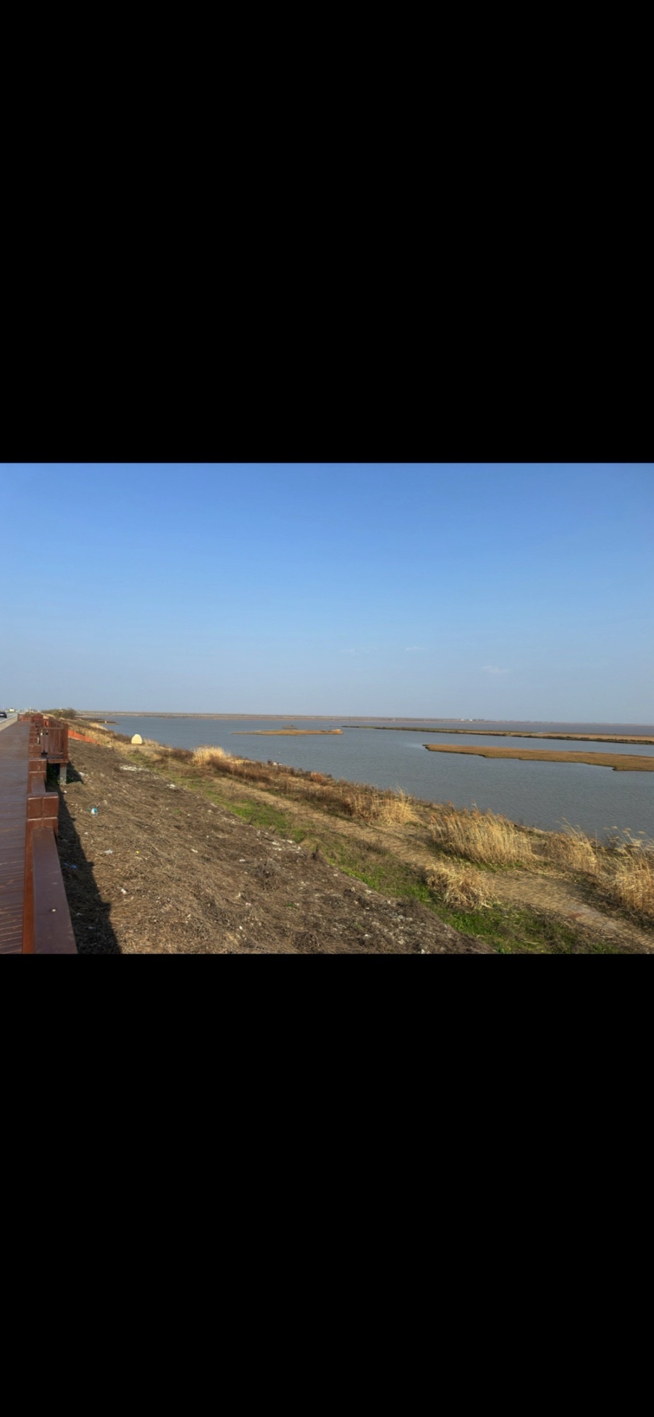 湖南东洞庭湖国家级自然保护区旅行图片 1