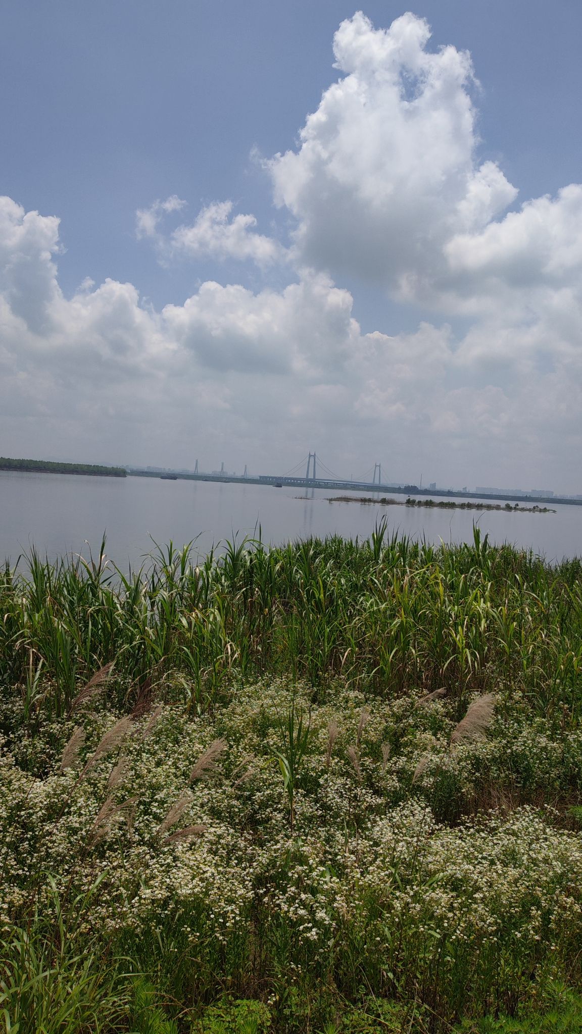 湖南东洞庭湖国家级自然保护区旅行图片 2