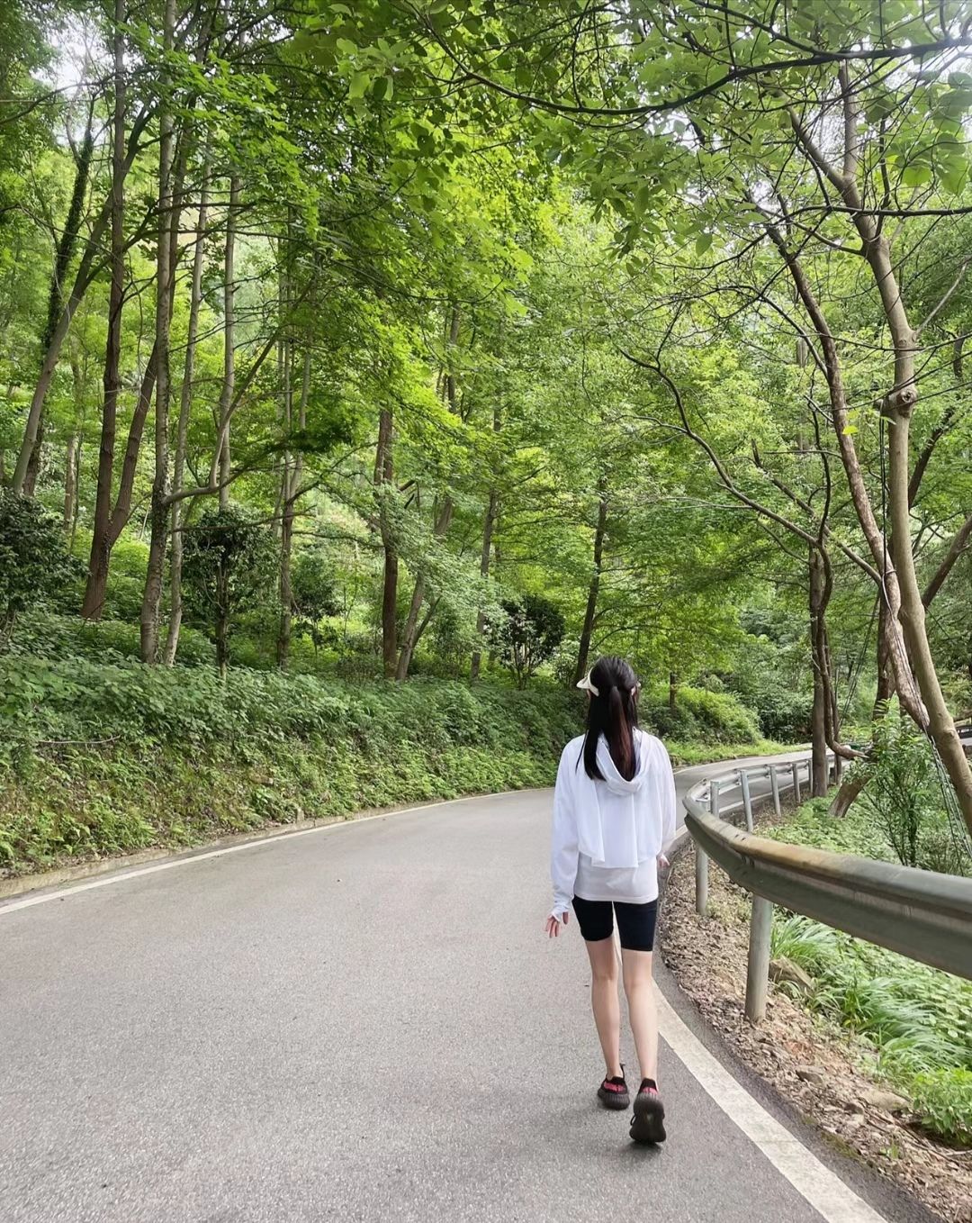 五尖山森林生态文化旅游区旅行图片 2