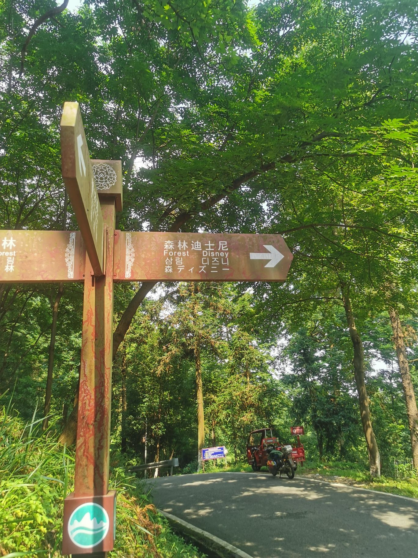 五尖山森林生态文化旅游区旅行图片 2