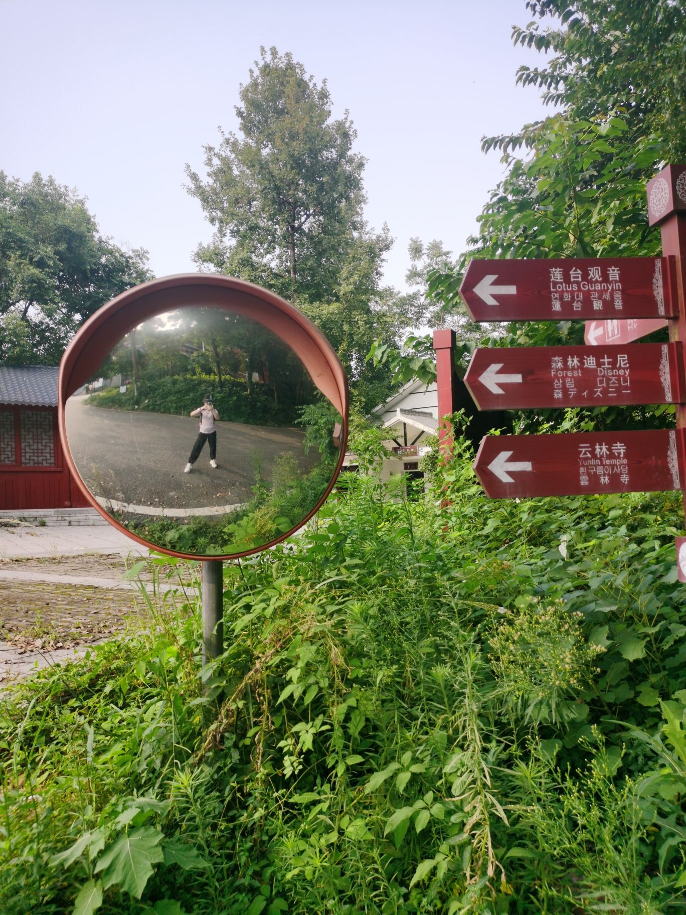 五尖山森林生态文化旅游区旅行图片 1