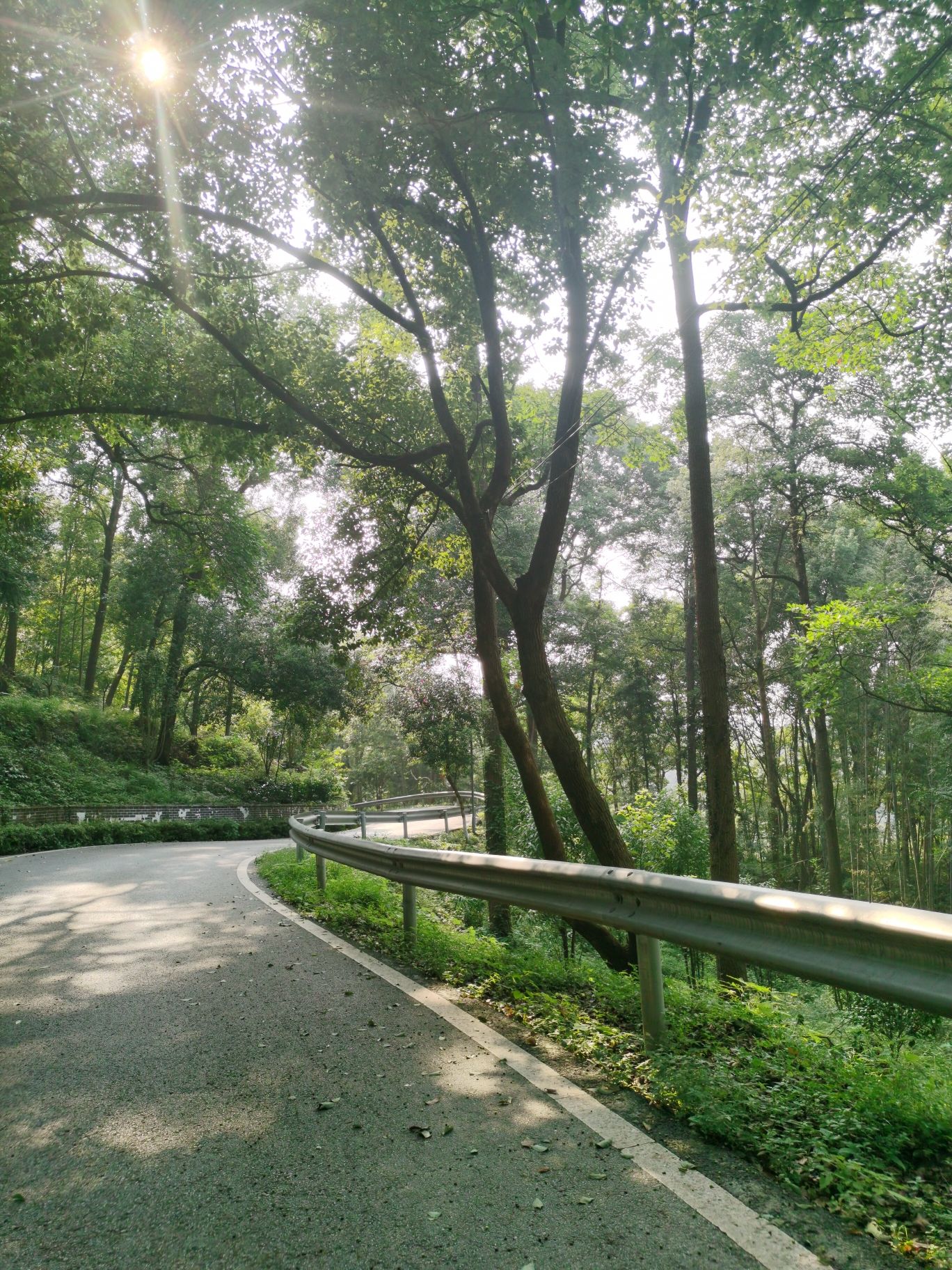 五尖山森林生态文化旅游区旅行图片 2