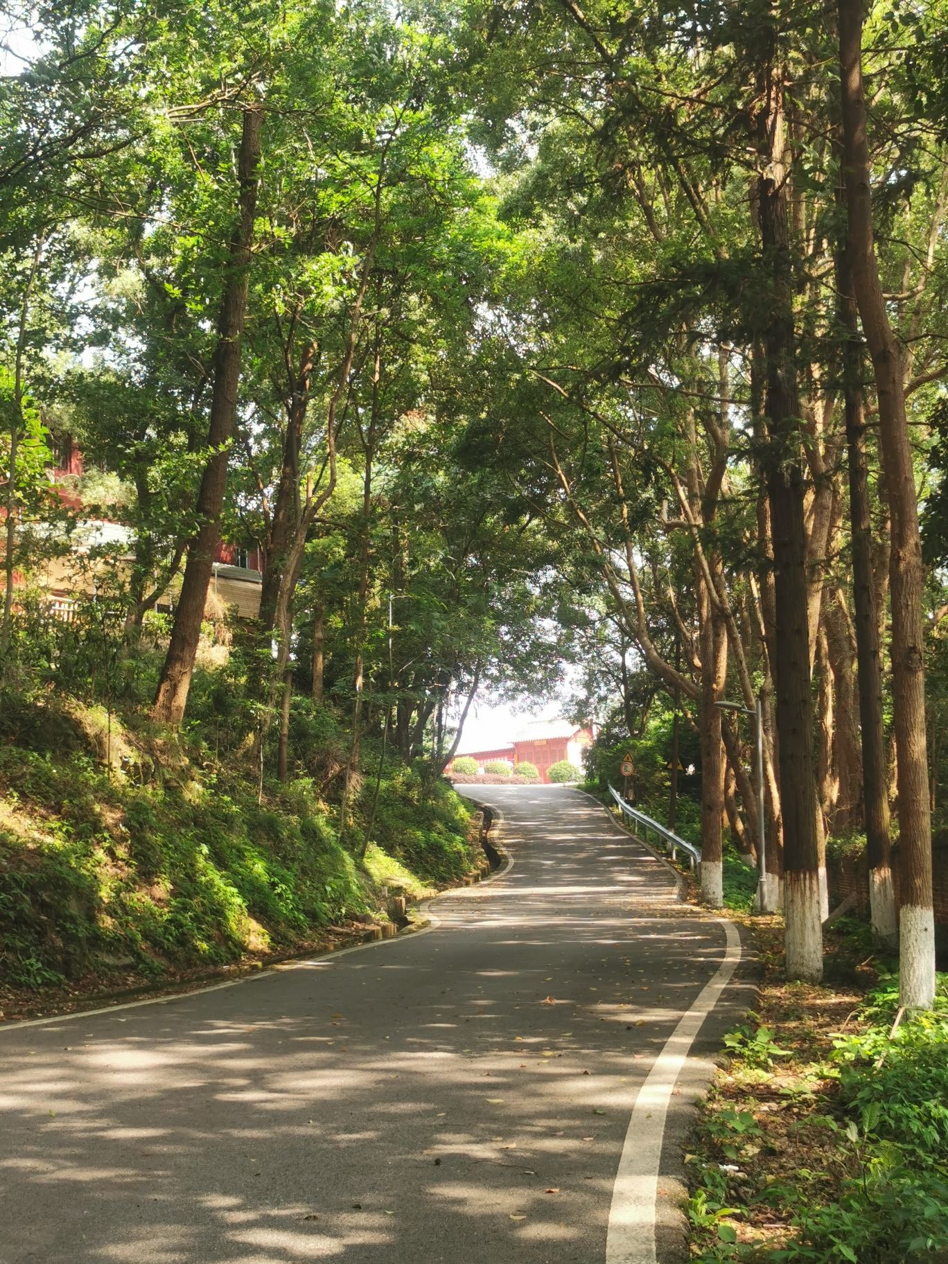 五尖山森林生态文化旅游区旅行图片 3