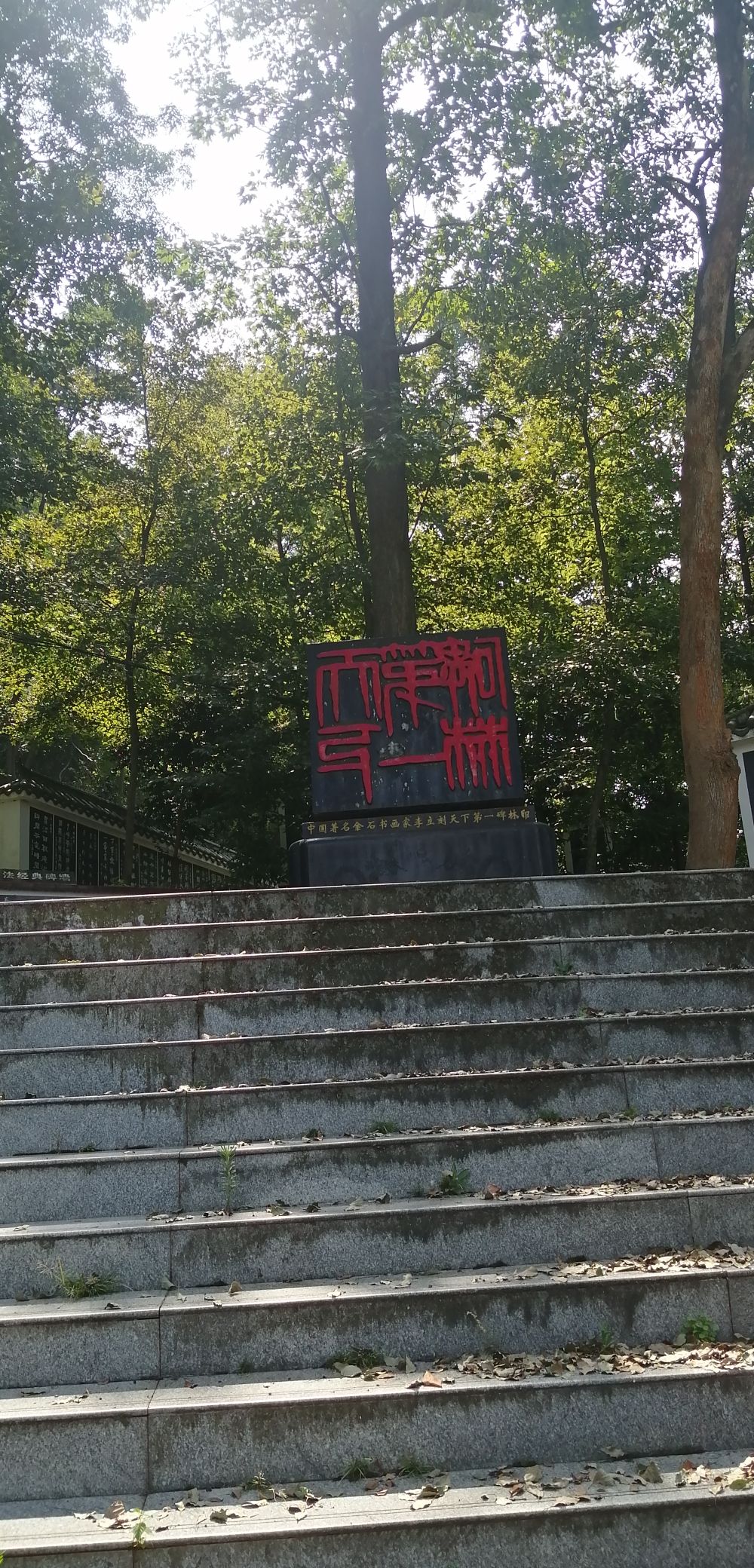 五尖山森林生态文化旅游区旅行图片 2