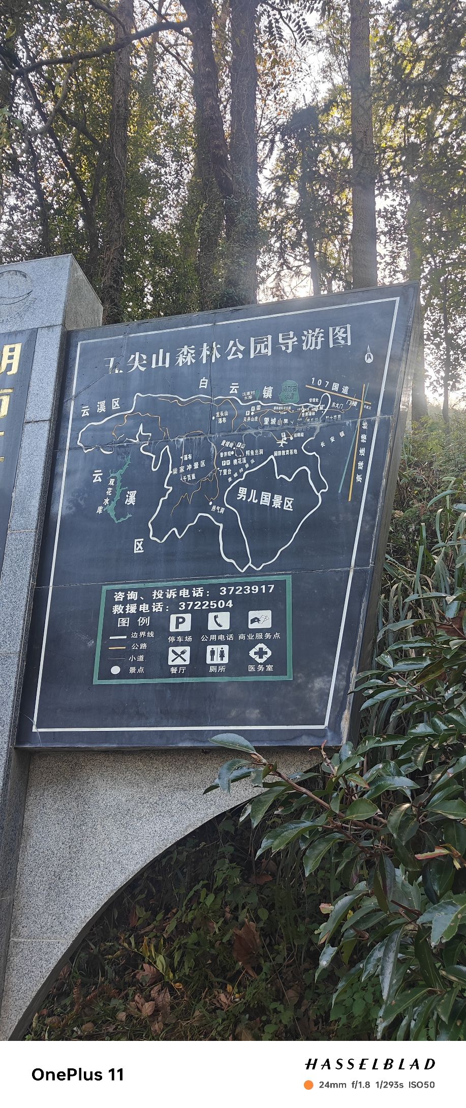 五尖山森林生态文化旅游区旅行图片 2