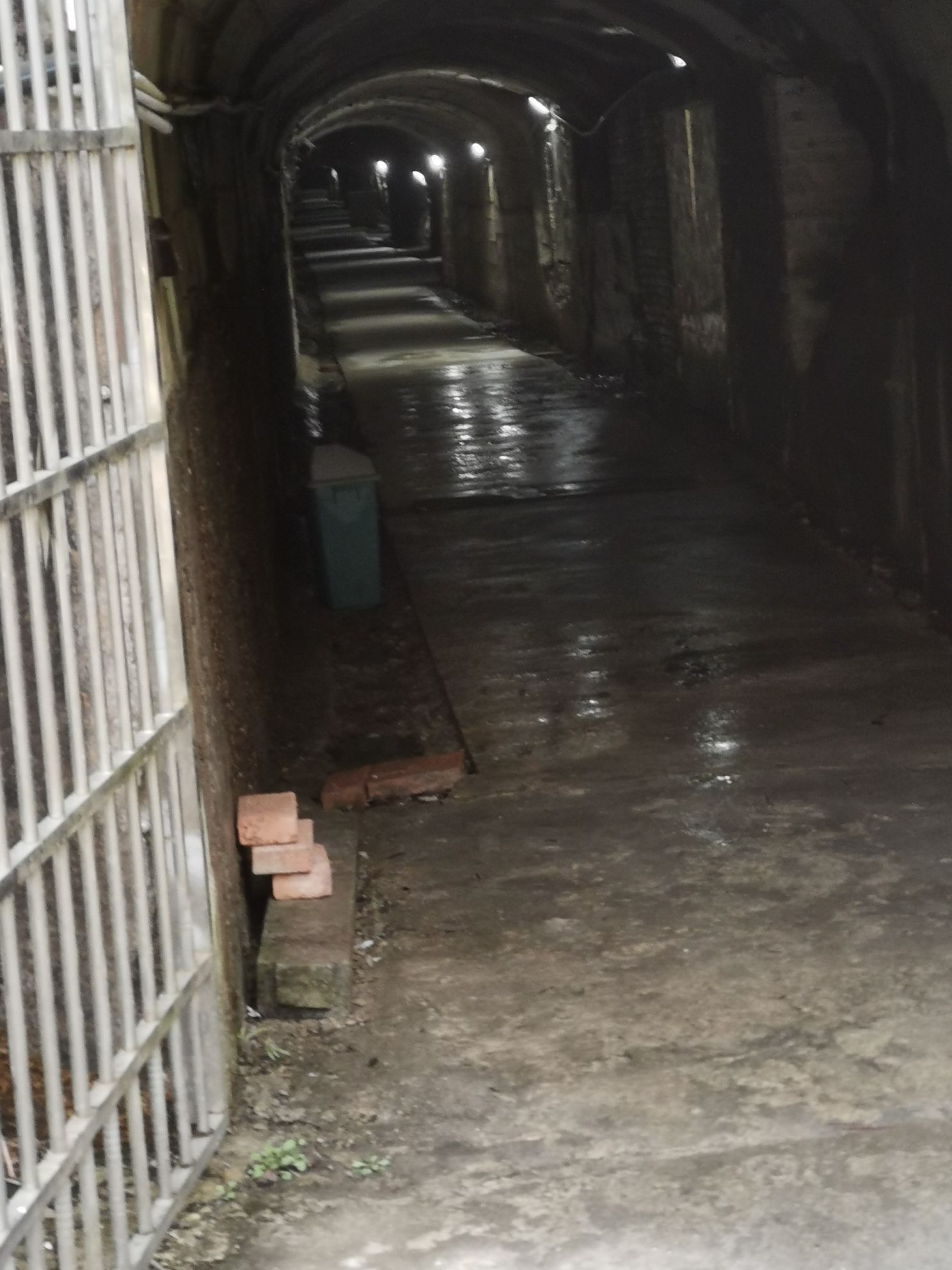 6501景区旅行图片 3