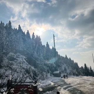 大云山国家森林公园旅行图片 2
