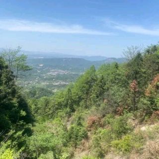大云山国家森林公园旅行图片 3