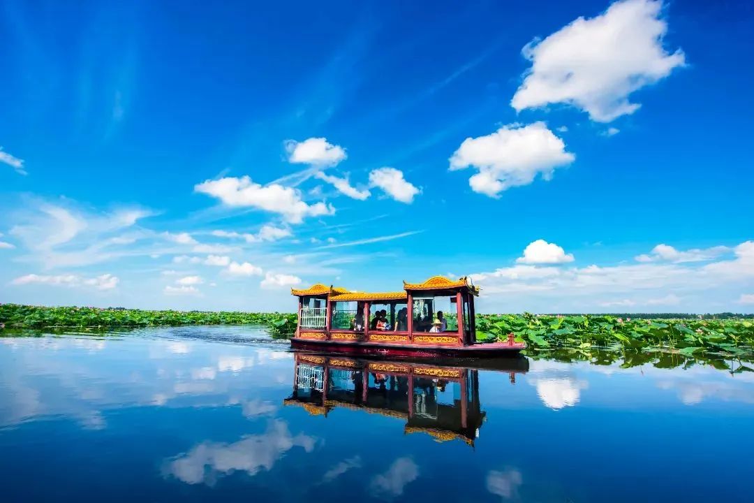 团湖荷花公园