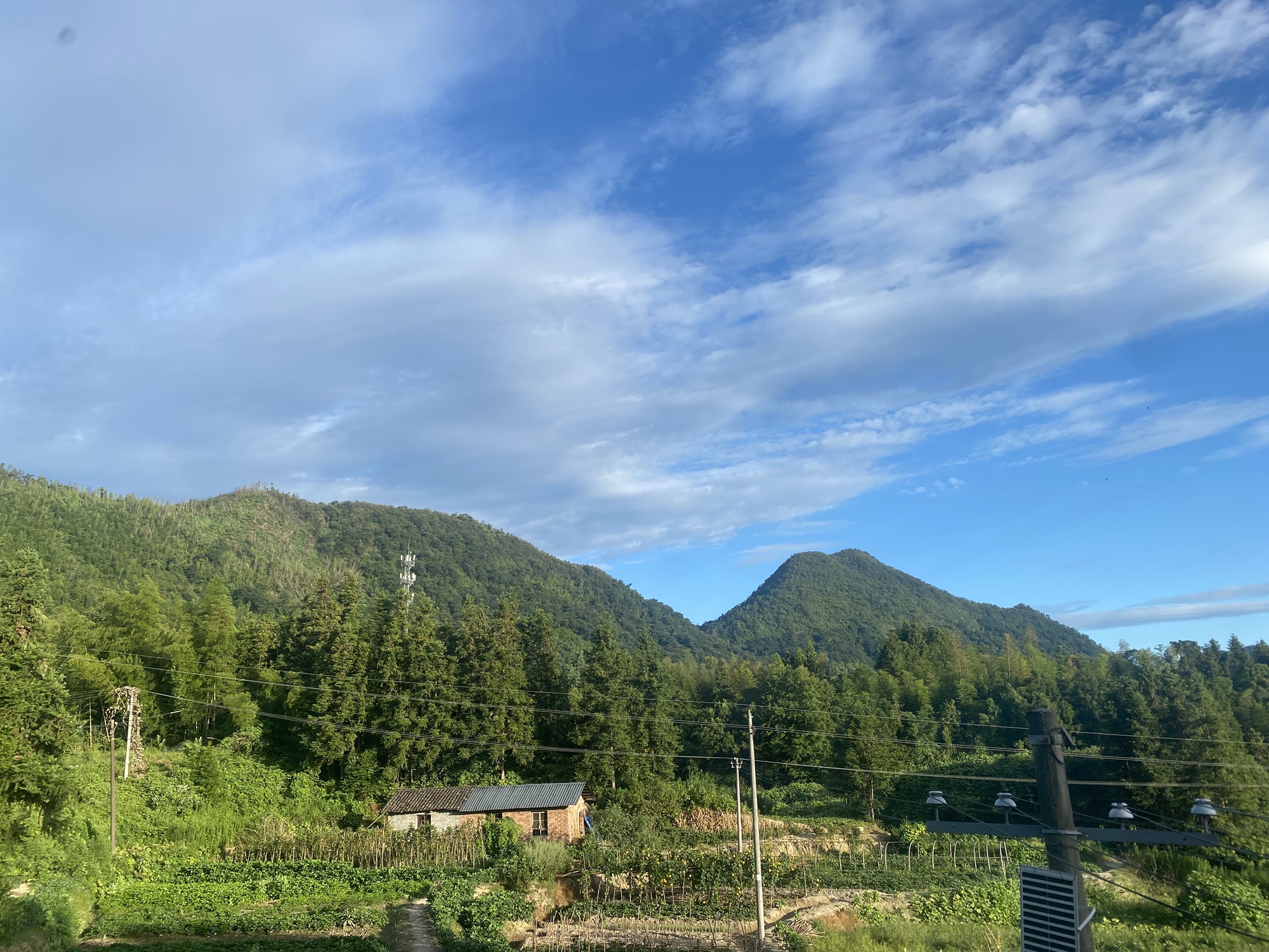 张谷英景区旅行图片 3