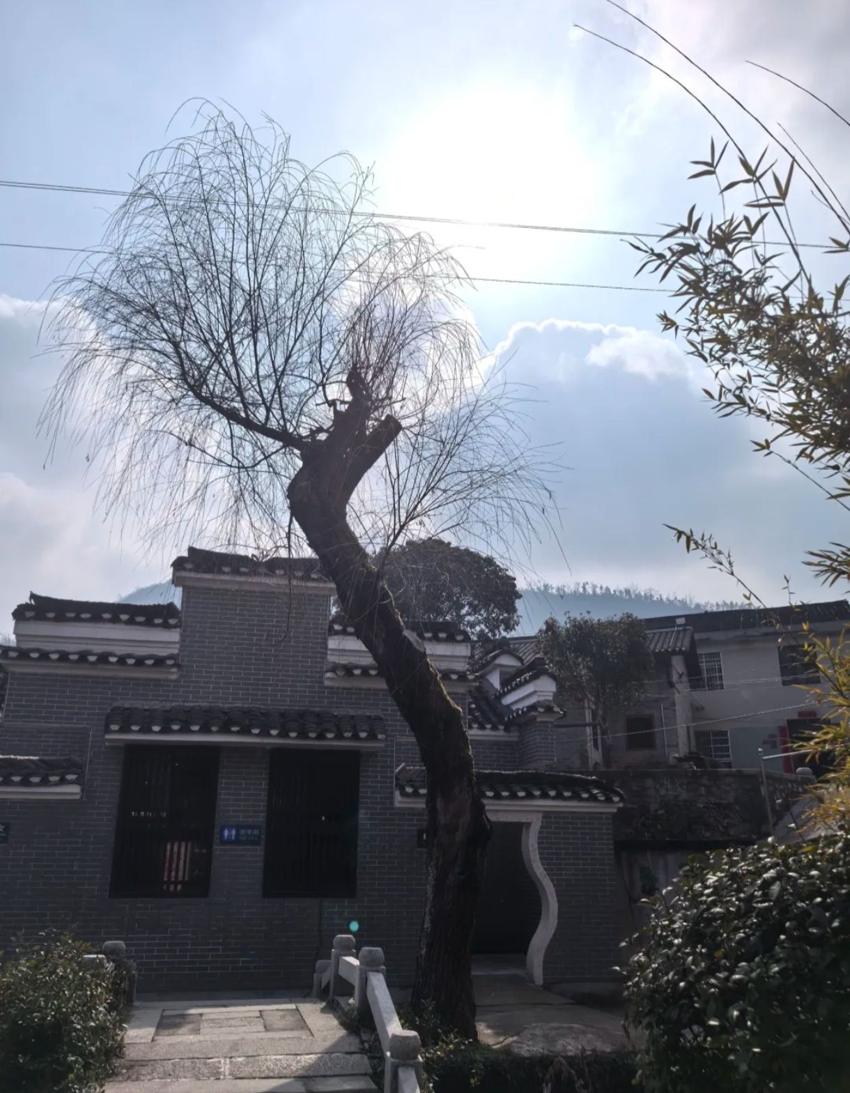 张谷英景区旅行图片 3