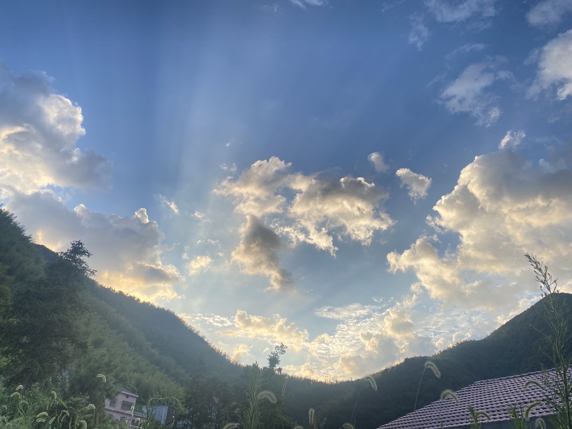 张谷英景区旅行图片 2