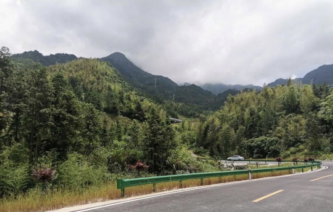 天岳幕阜山森林公园旅行图片 1