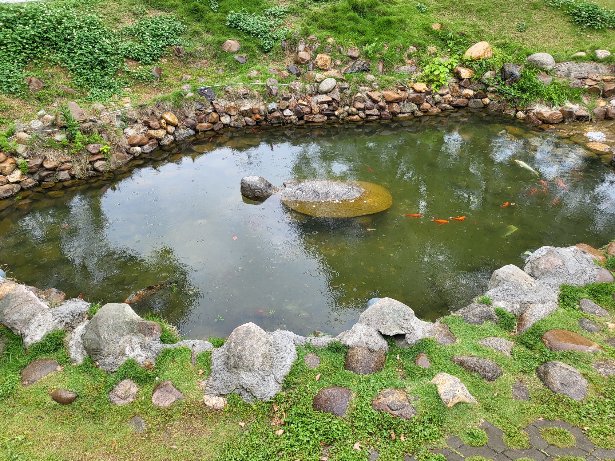岳阳楼景区旅行图片 2