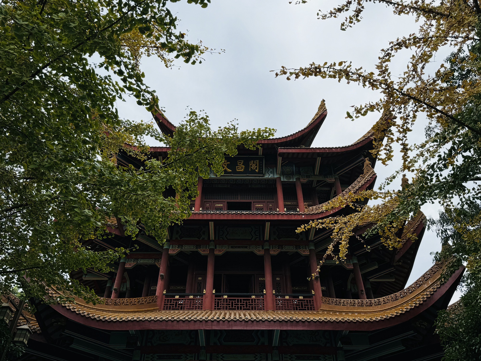 金鹗公园旅行图片 2
