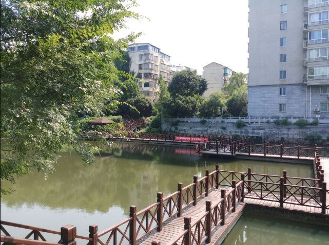 金鹗公园旅行图片 2