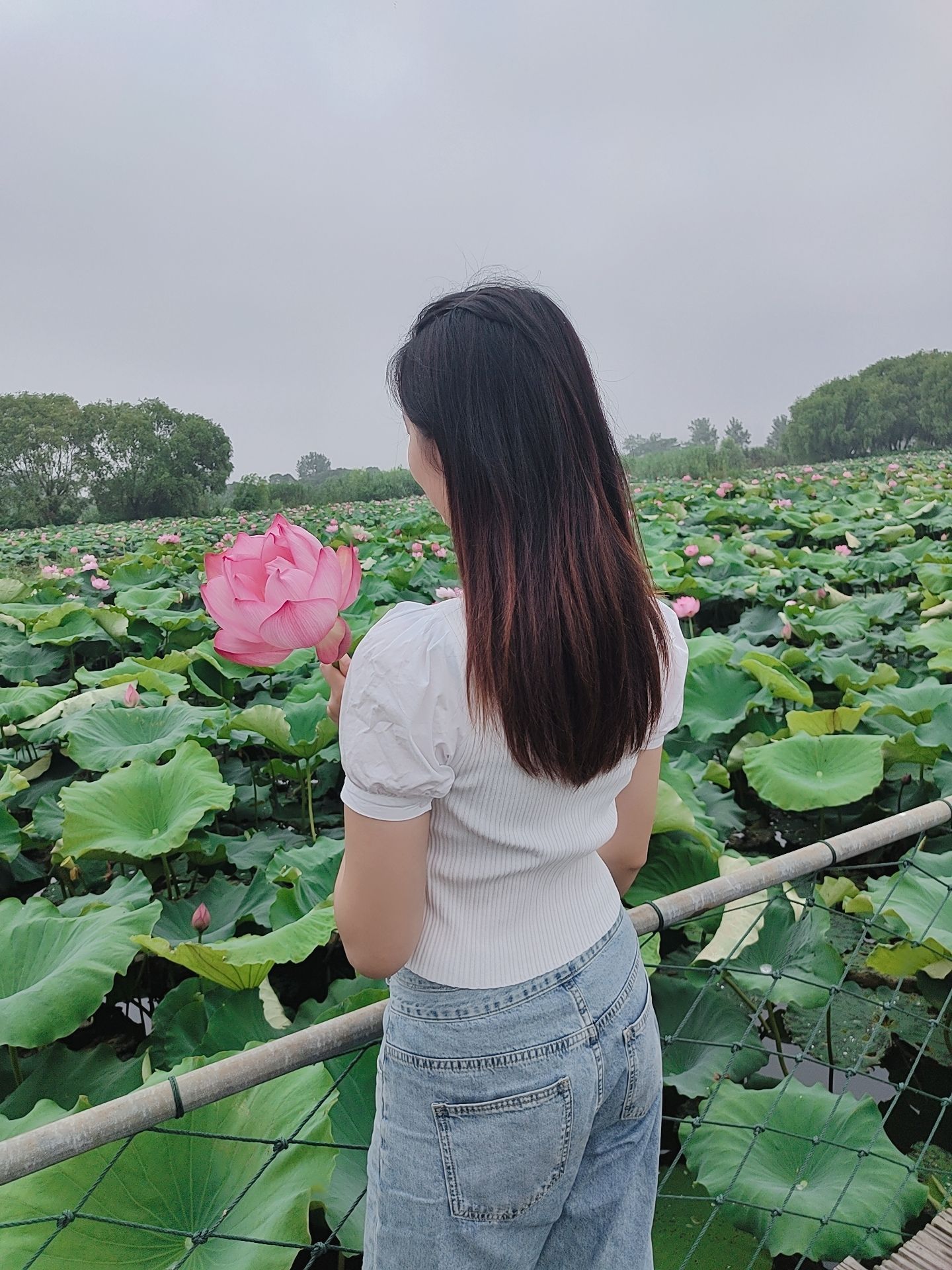 鹤龙湖旅行图片 3
