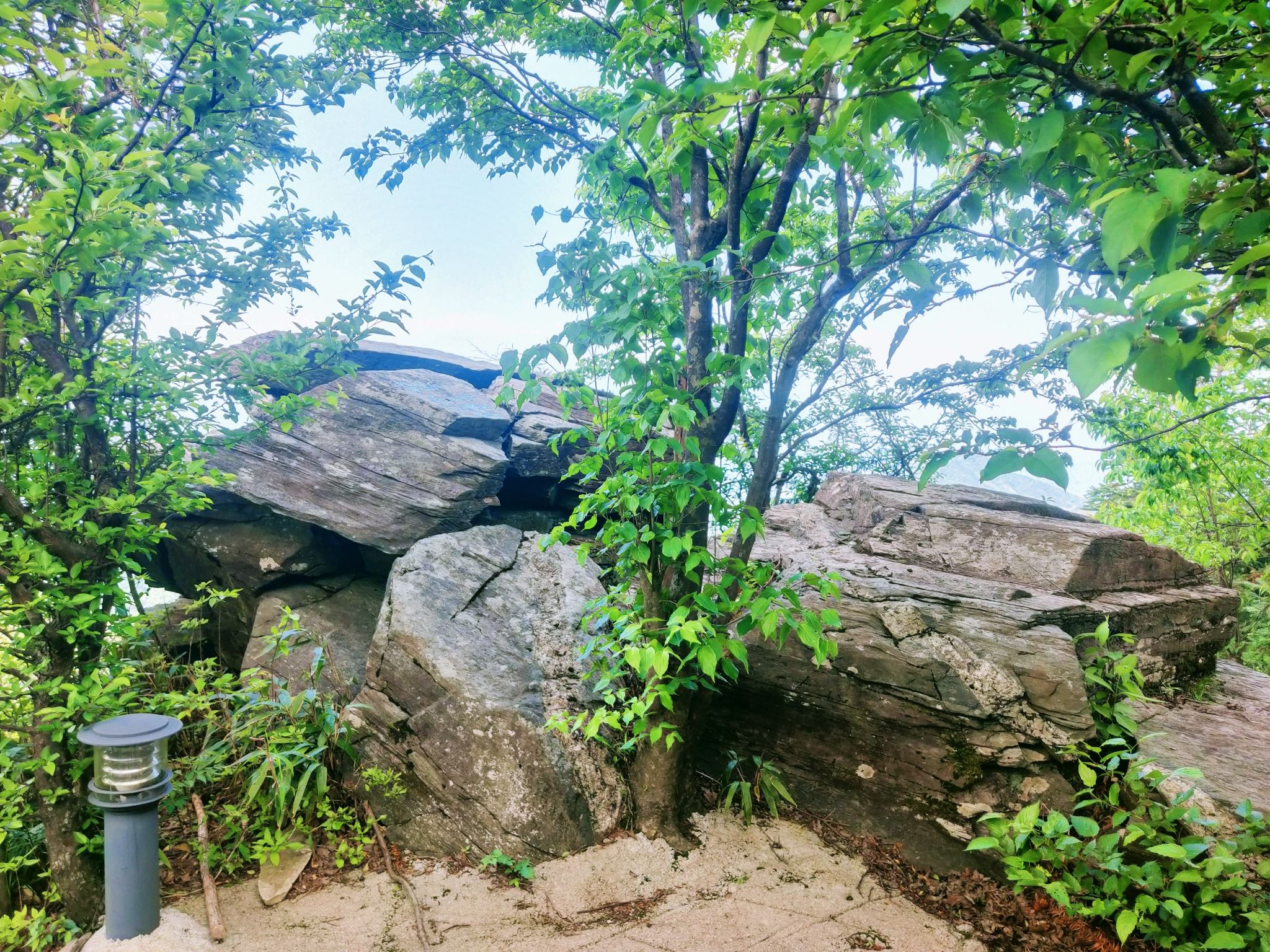 连云山森林公园旅行图片 3