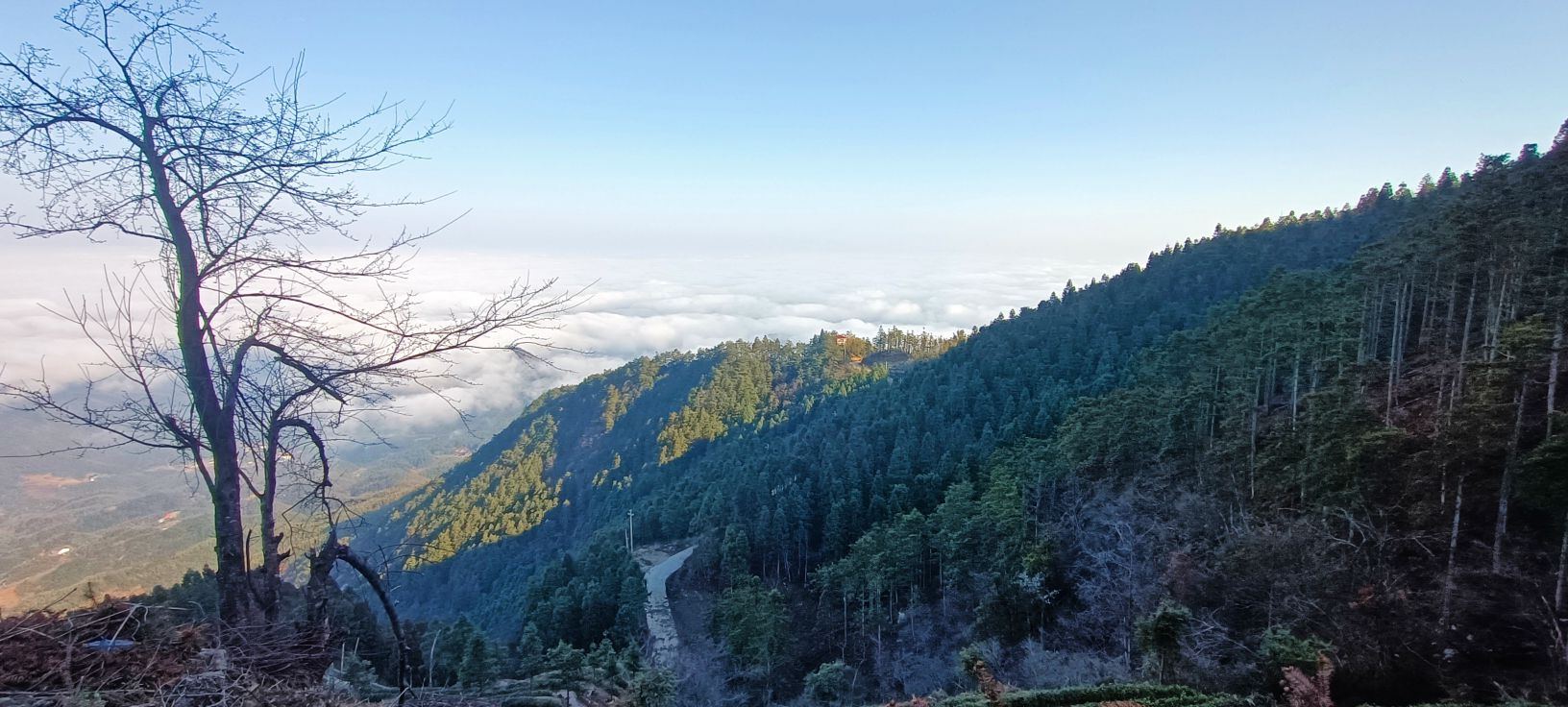 连云山森林公园旅行图片 1