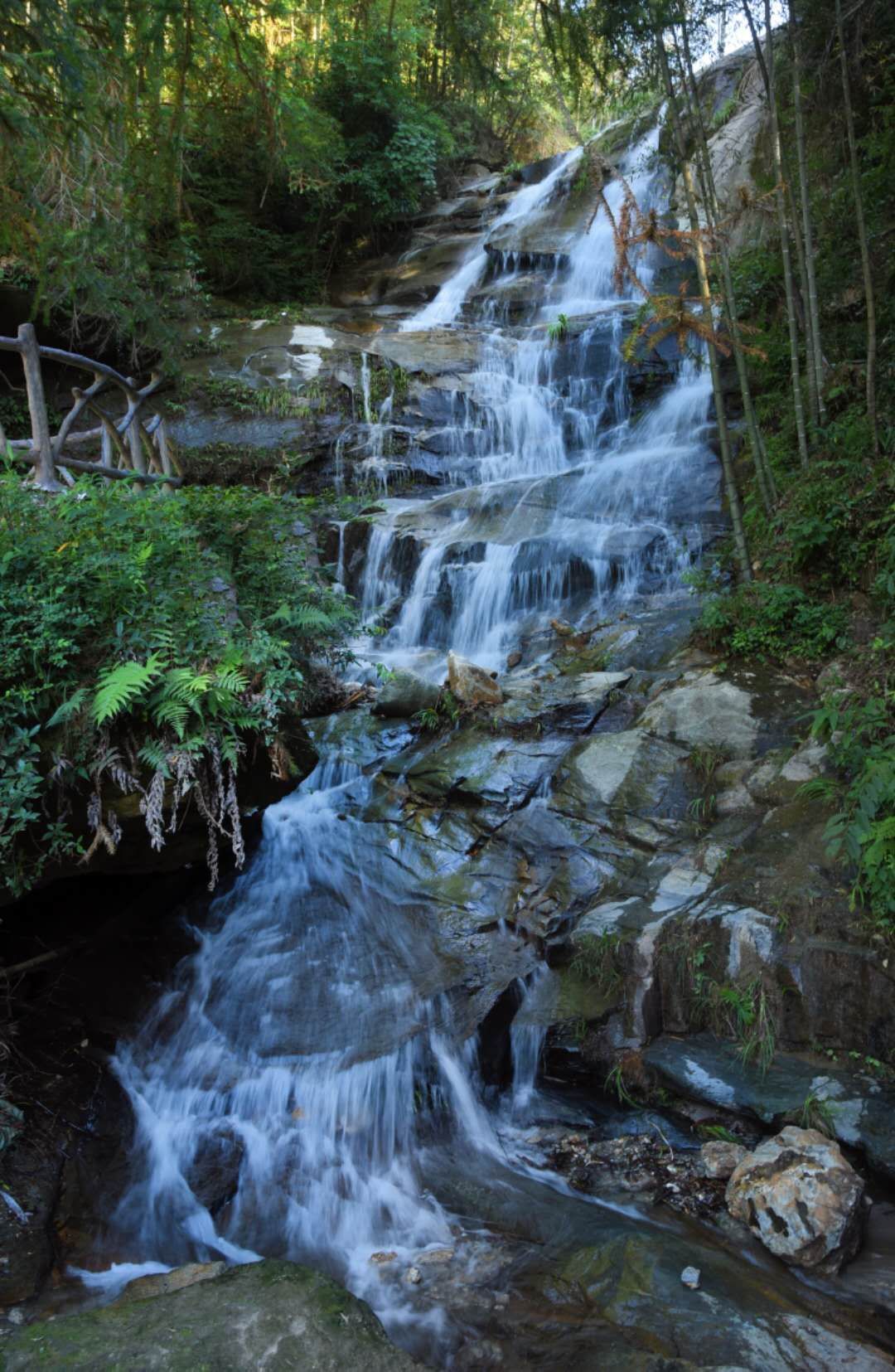连云山森林公园旅行图片 3