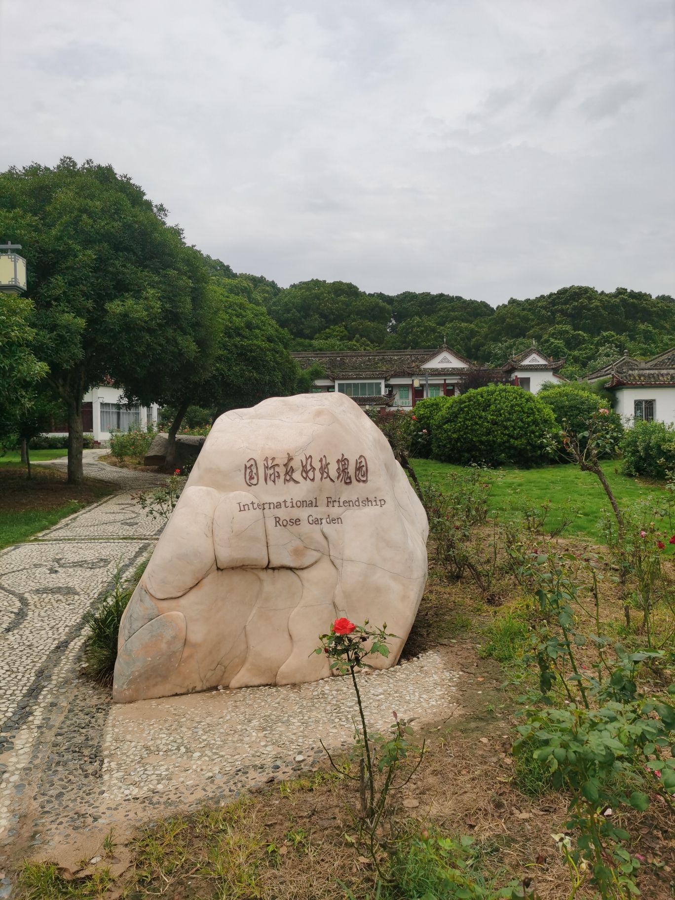 君山岛景区旅行图片 3