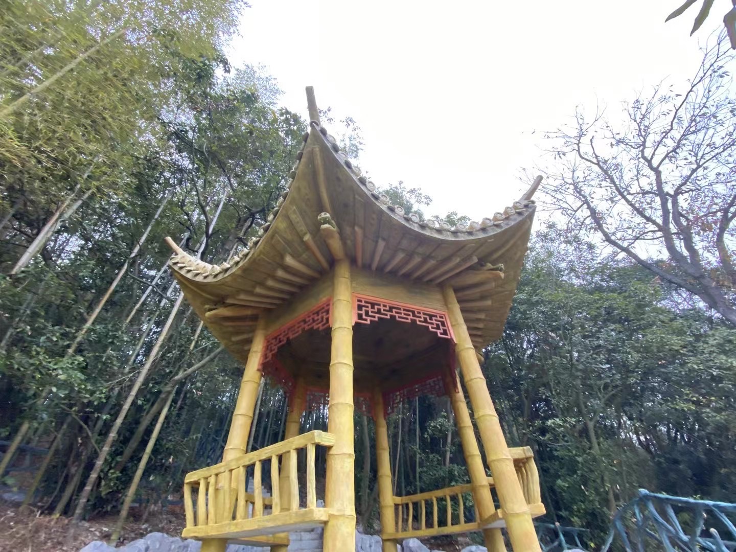 君山岛景区旅行图片 3
