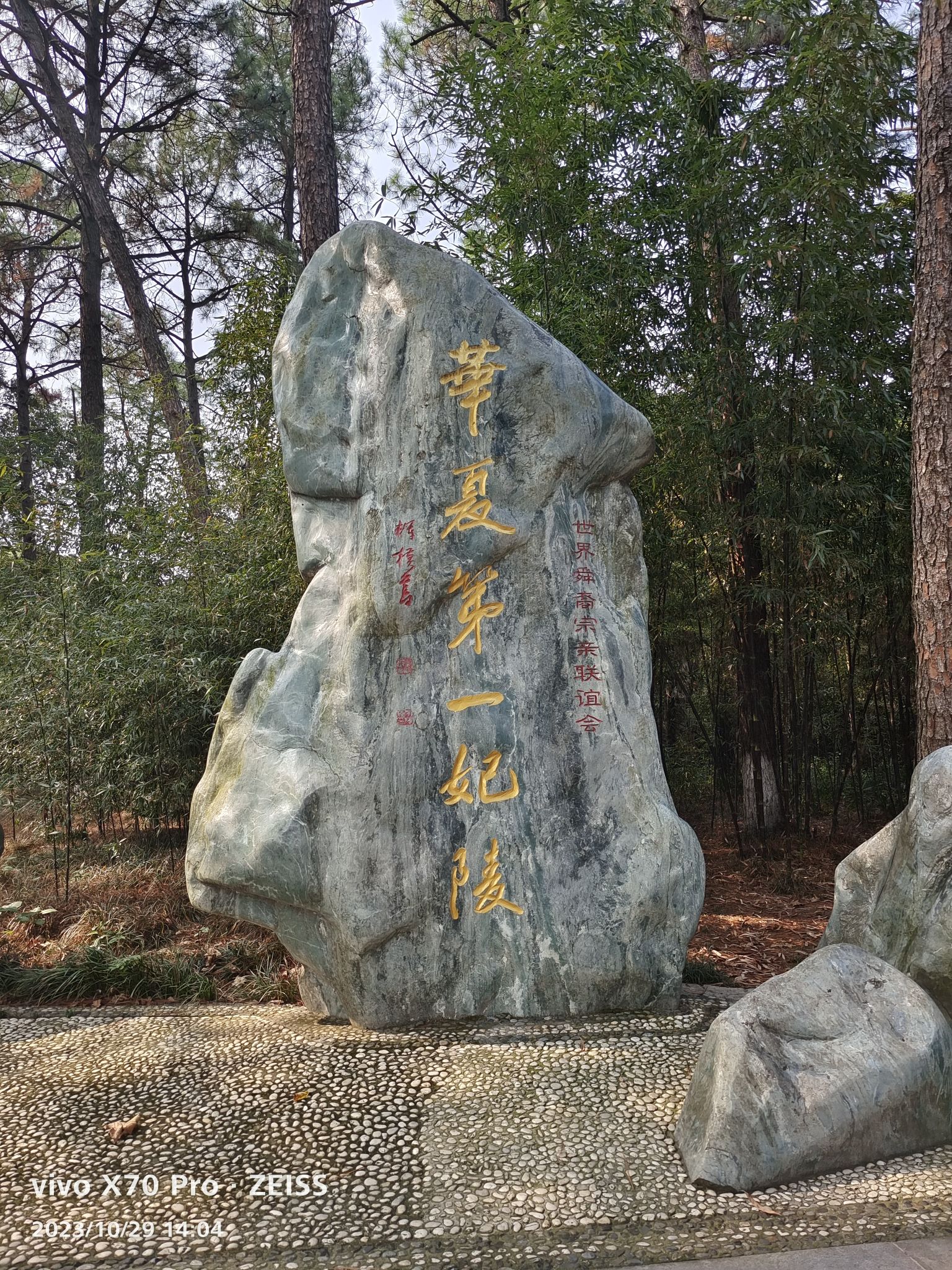 君山岛景区旅行图片 2