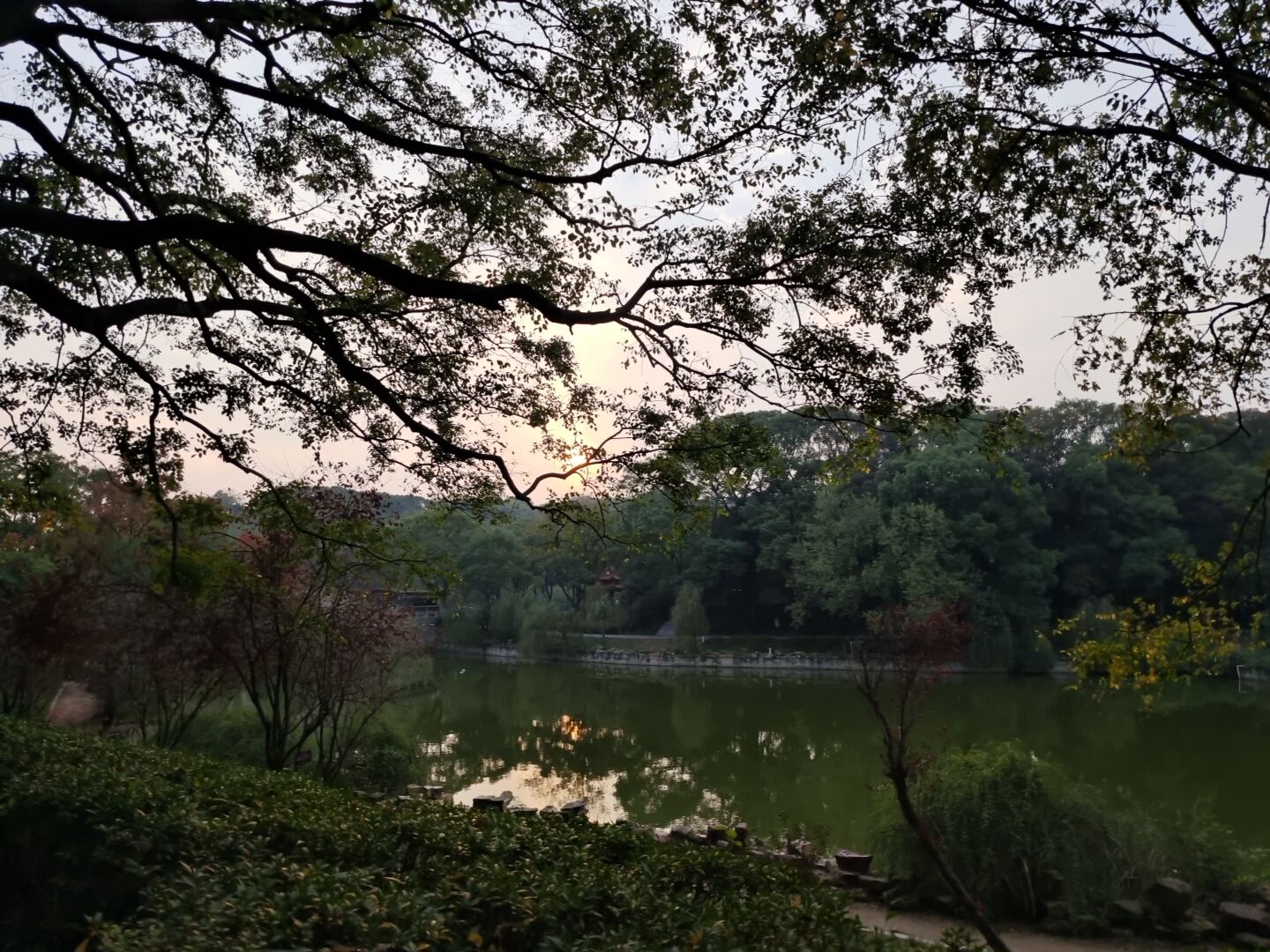君山岛景区旅行图片 1