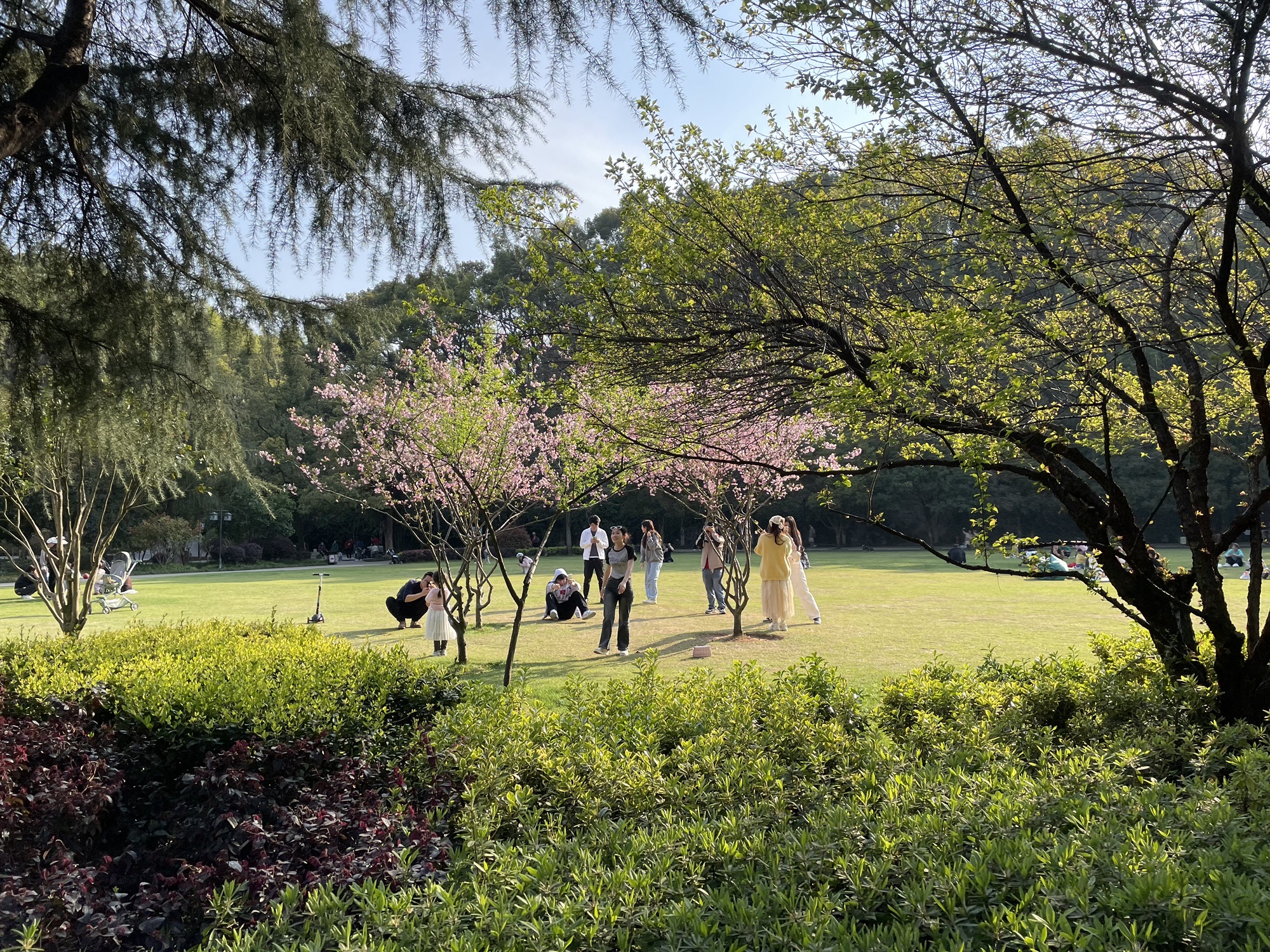 长沙市望月公园旅行图片 1