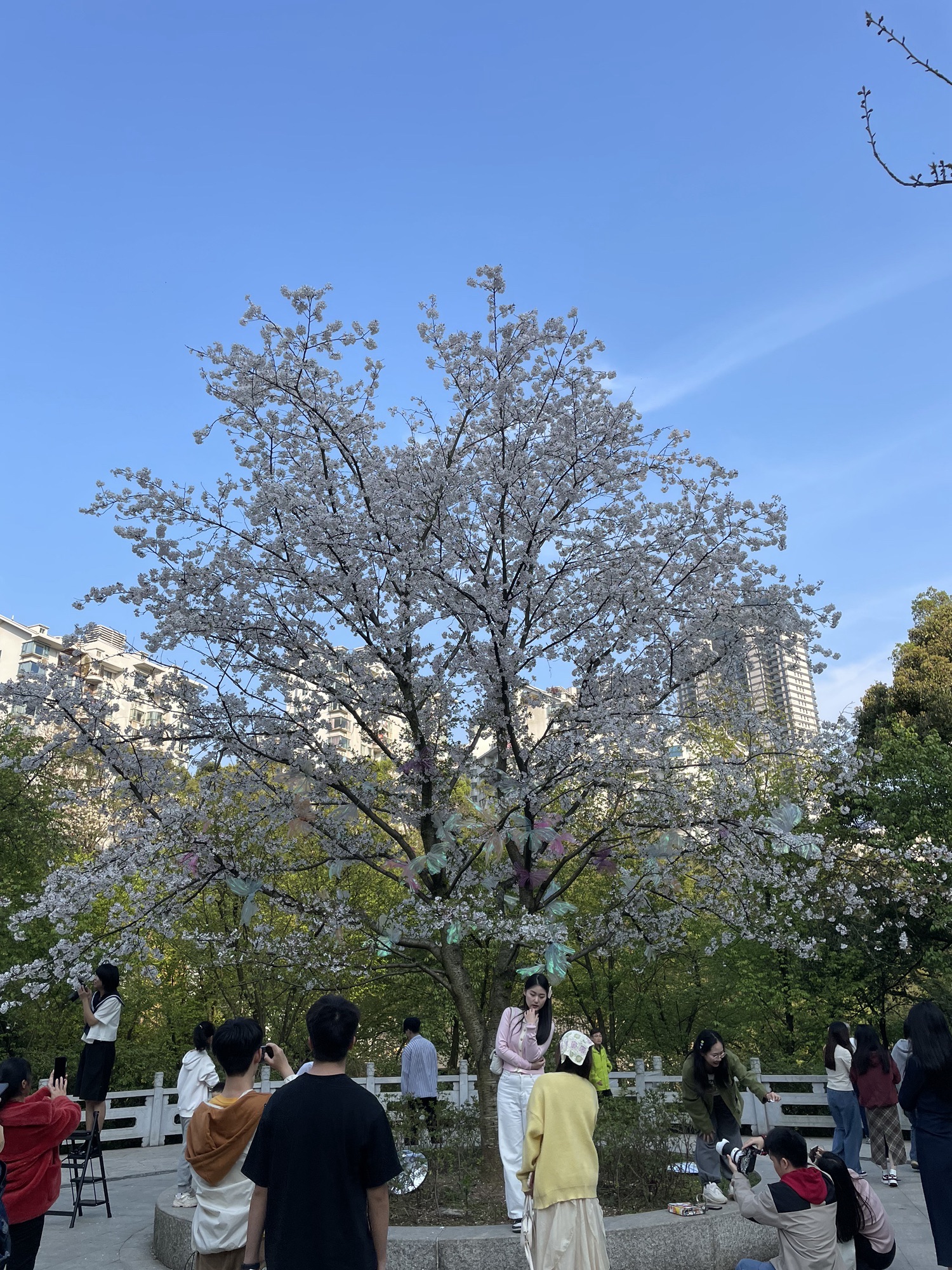 长沙市望月公园旅行图片 3