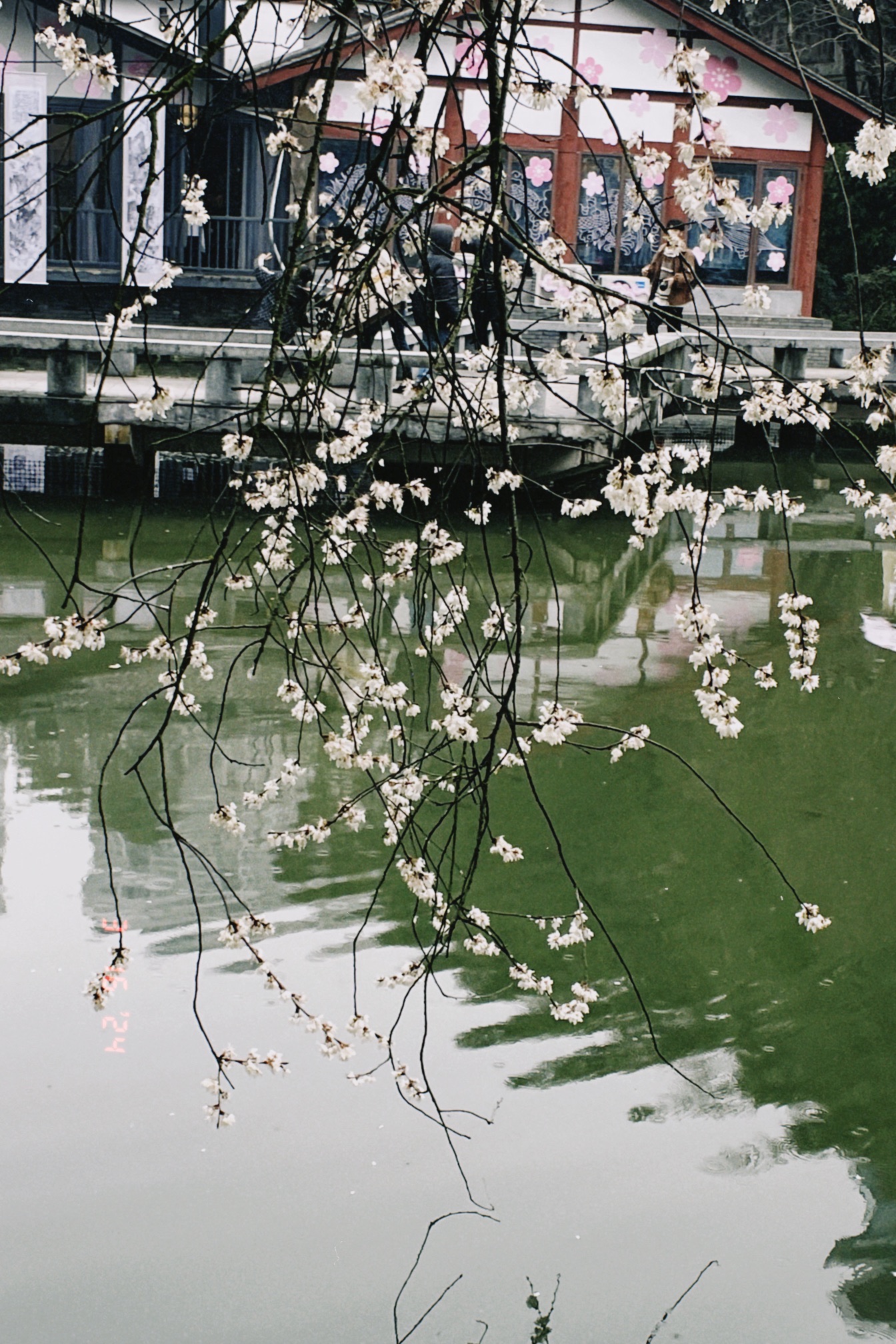 长沙市望月公园旅行图片 3