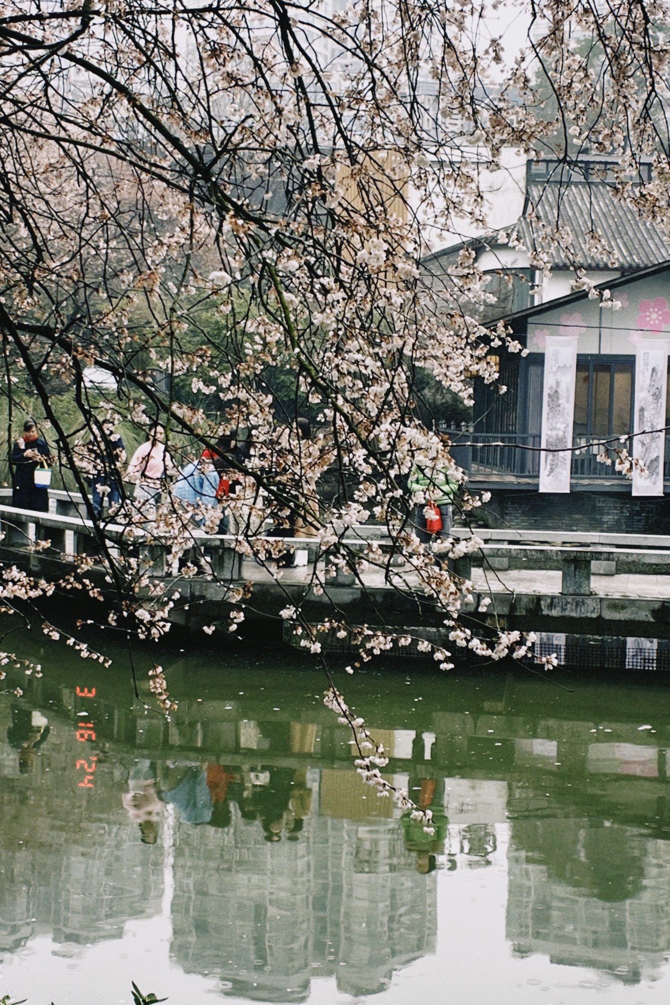 长沙市望月公园旅行图片 2