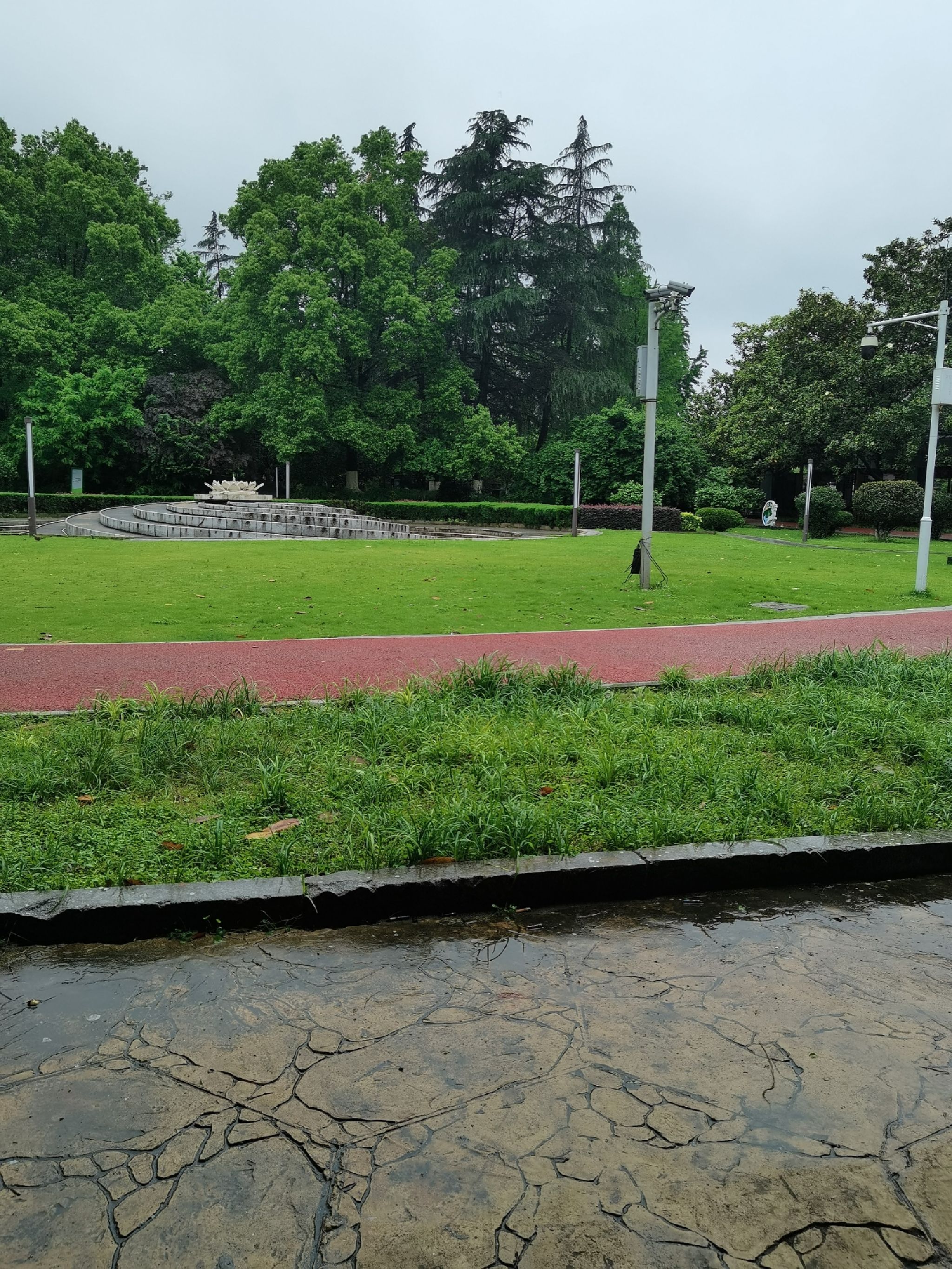 紫凤园旅行图片 1
