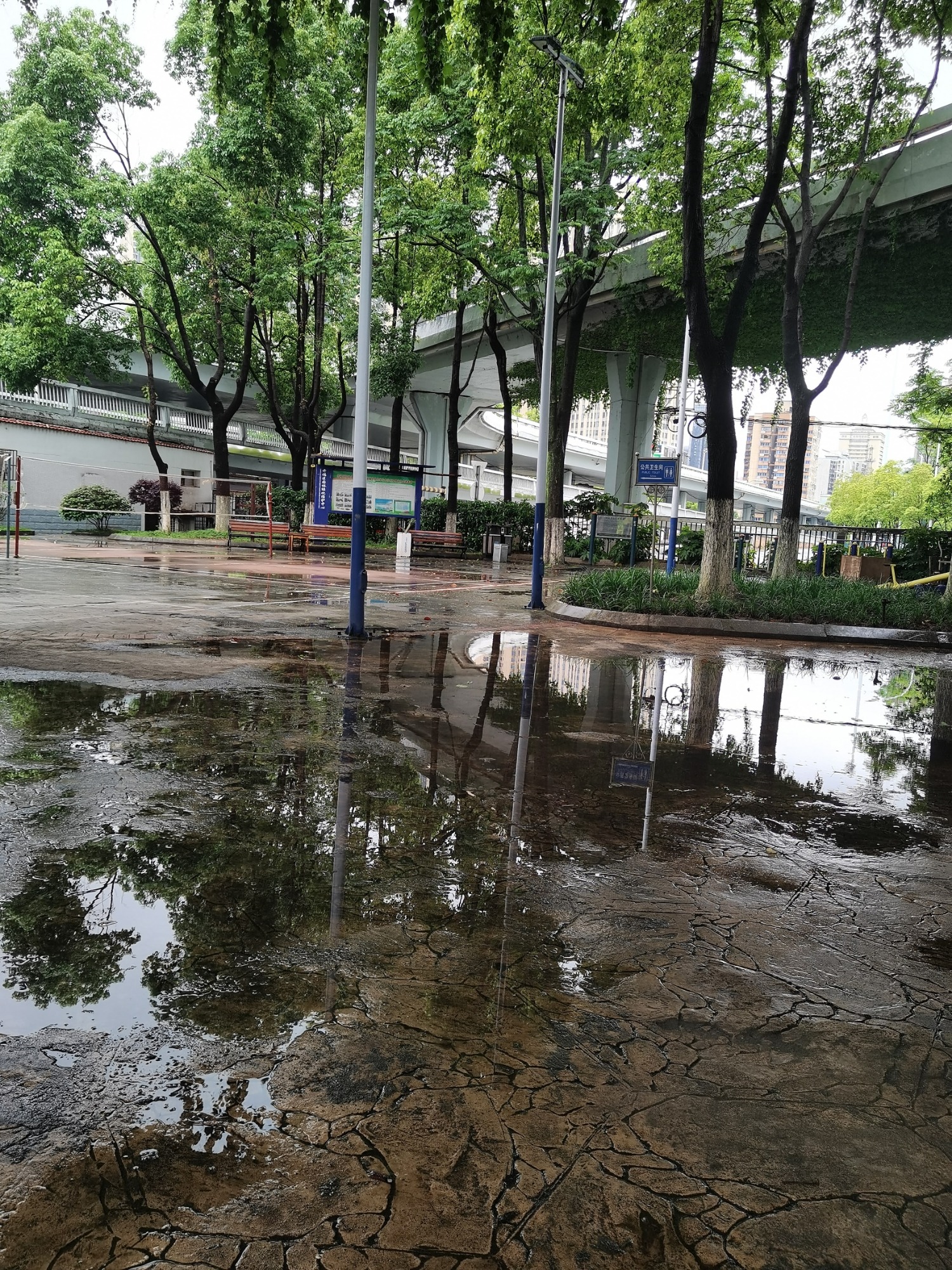 紫凤园旅行图片 3