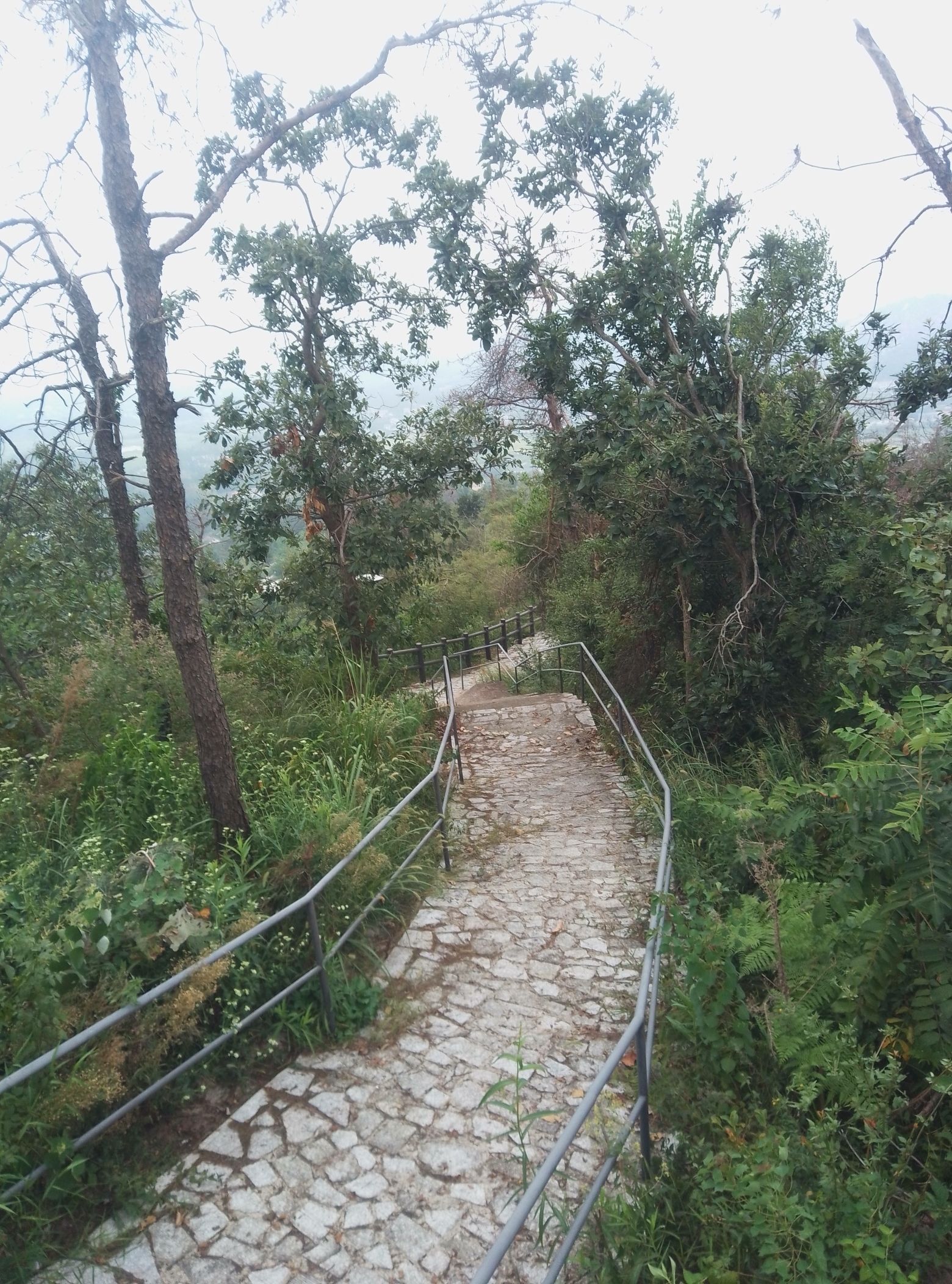 天华山旅行图片 3