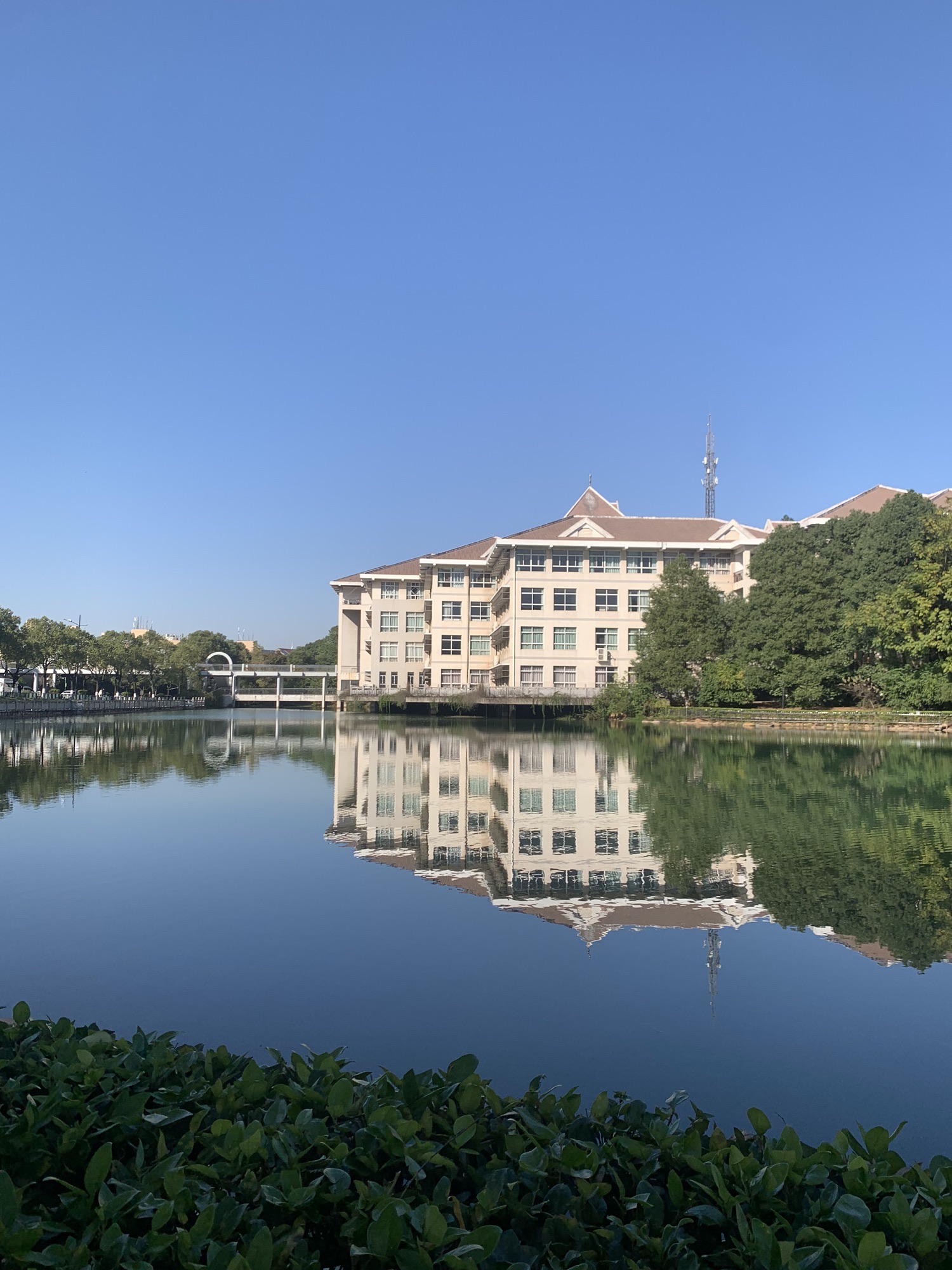 长沙徐特立公园旅行图片 2