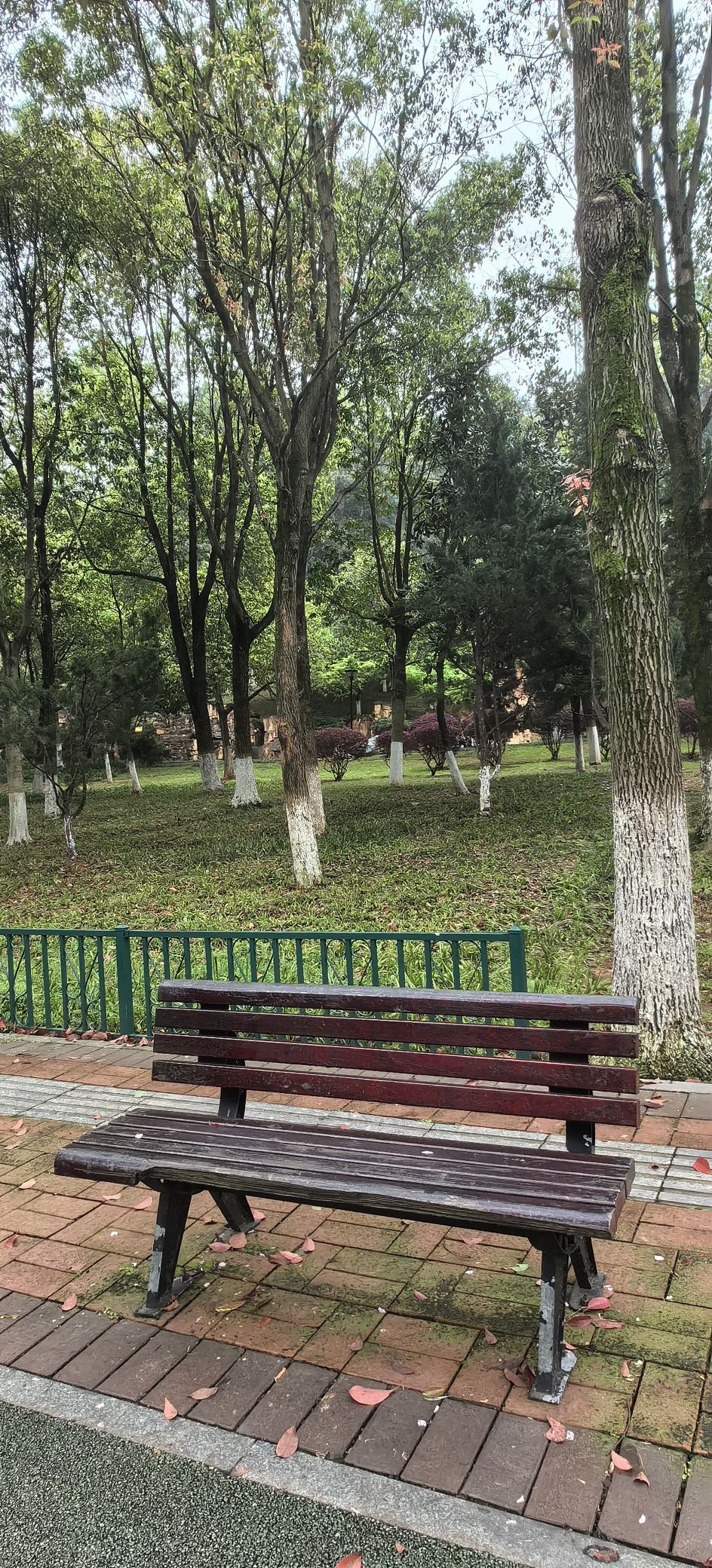 长沙徐特立公园旅行图片 2