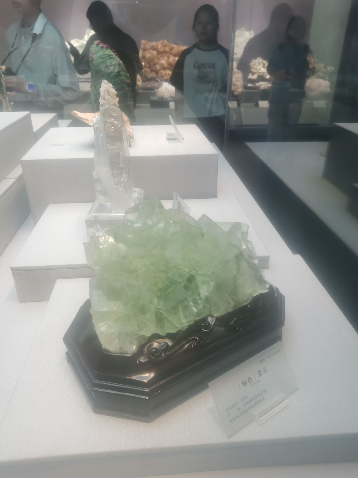湘府文化公园旅行图片 2